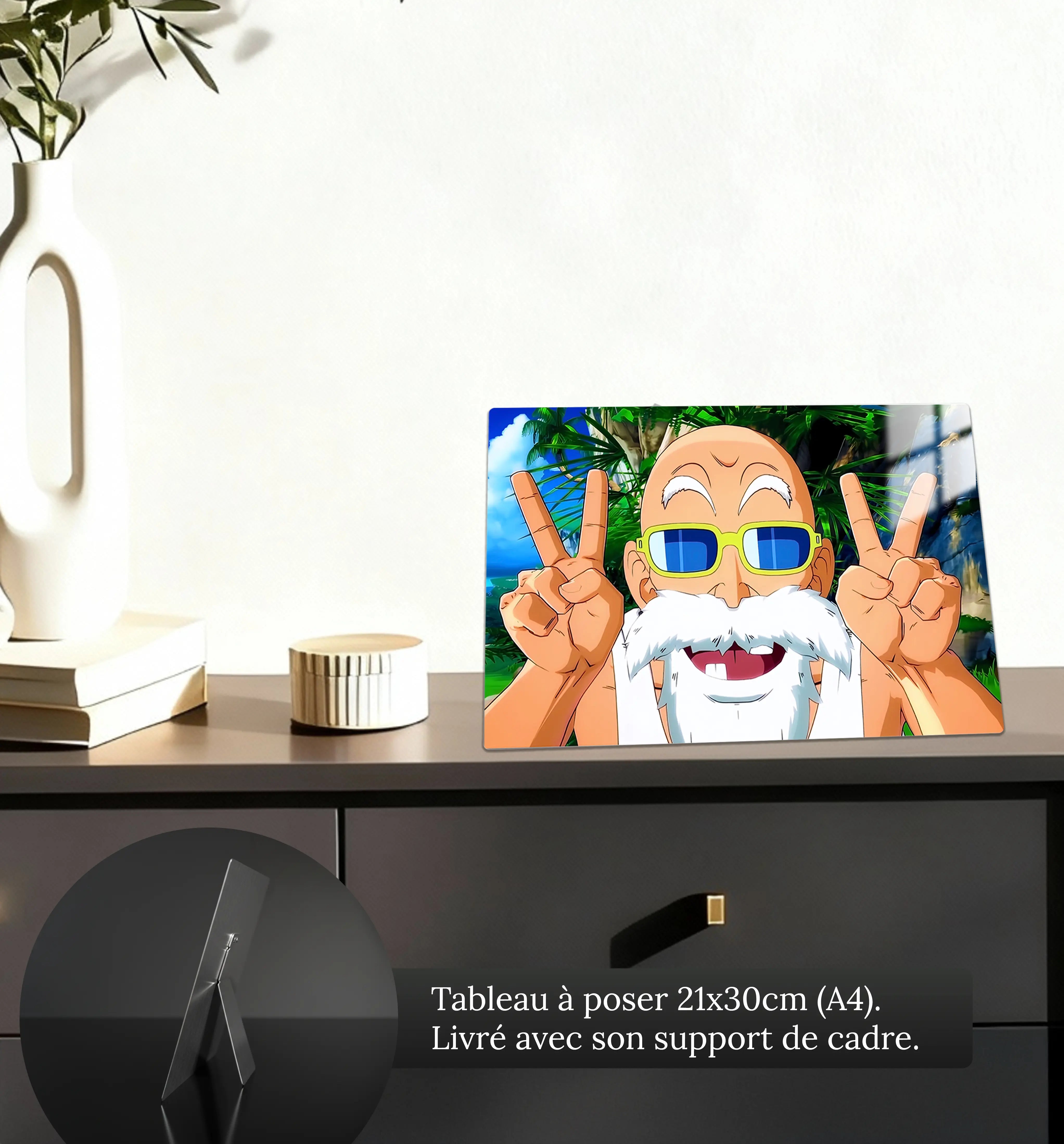 tableau-dragon-ball-z-tortue-geniale-petit-format-a-poser-sur-meuble | DreamWay