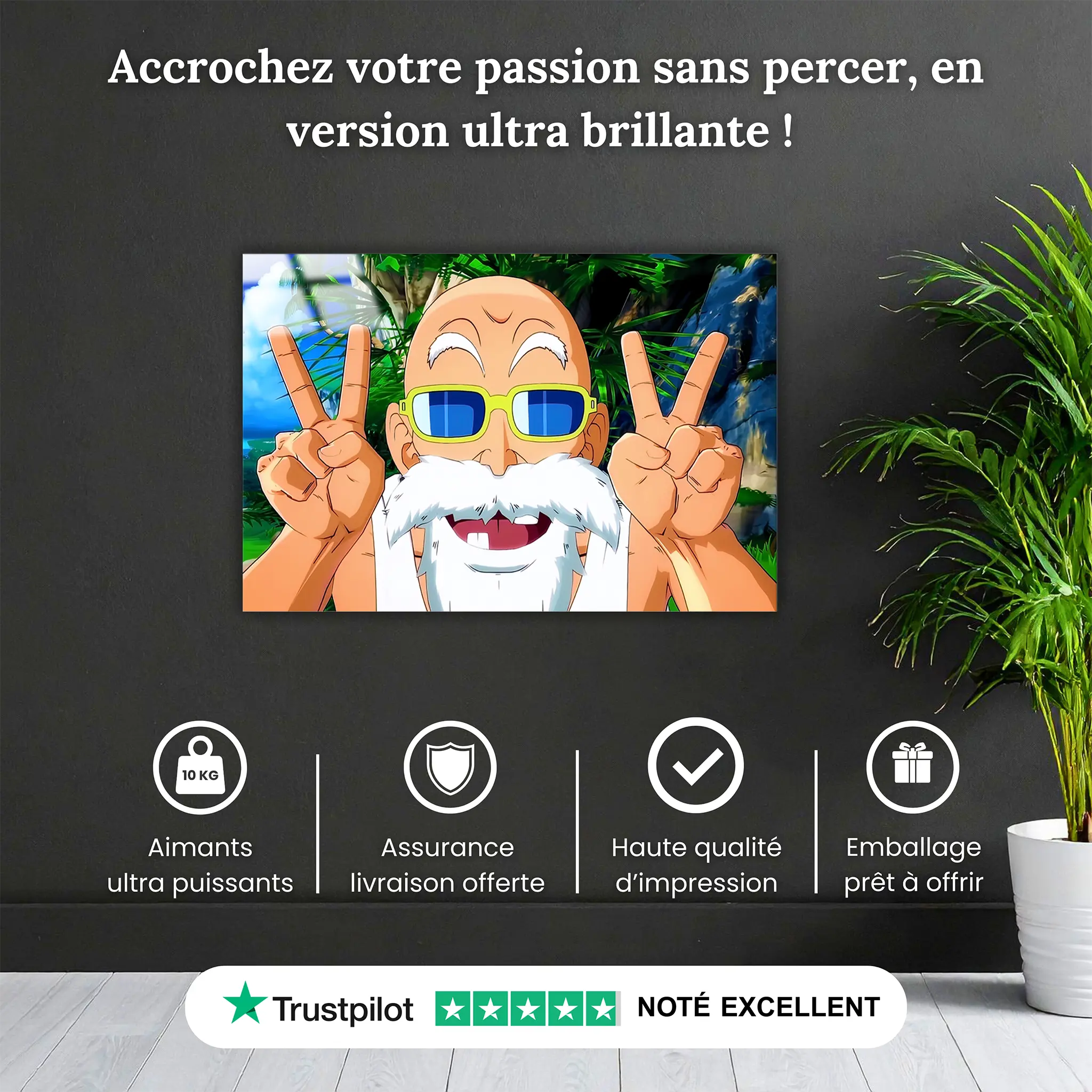 tableau-dragon-ball-z-tortue-geniale-pourquoi-acheter | DreamWay