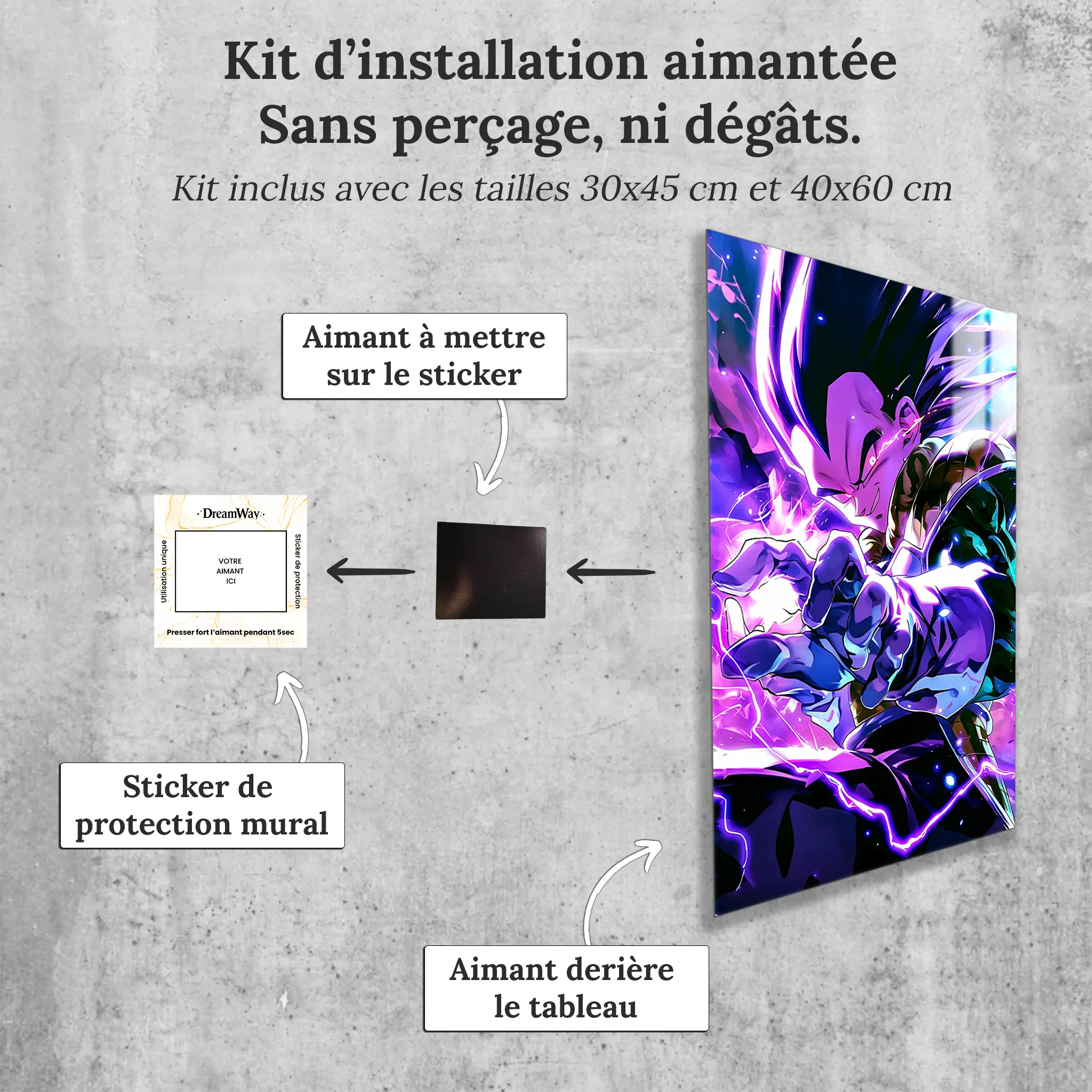 tableau-dragon-ball-z-vegeta-avec-installation-aimantee | DreamWay