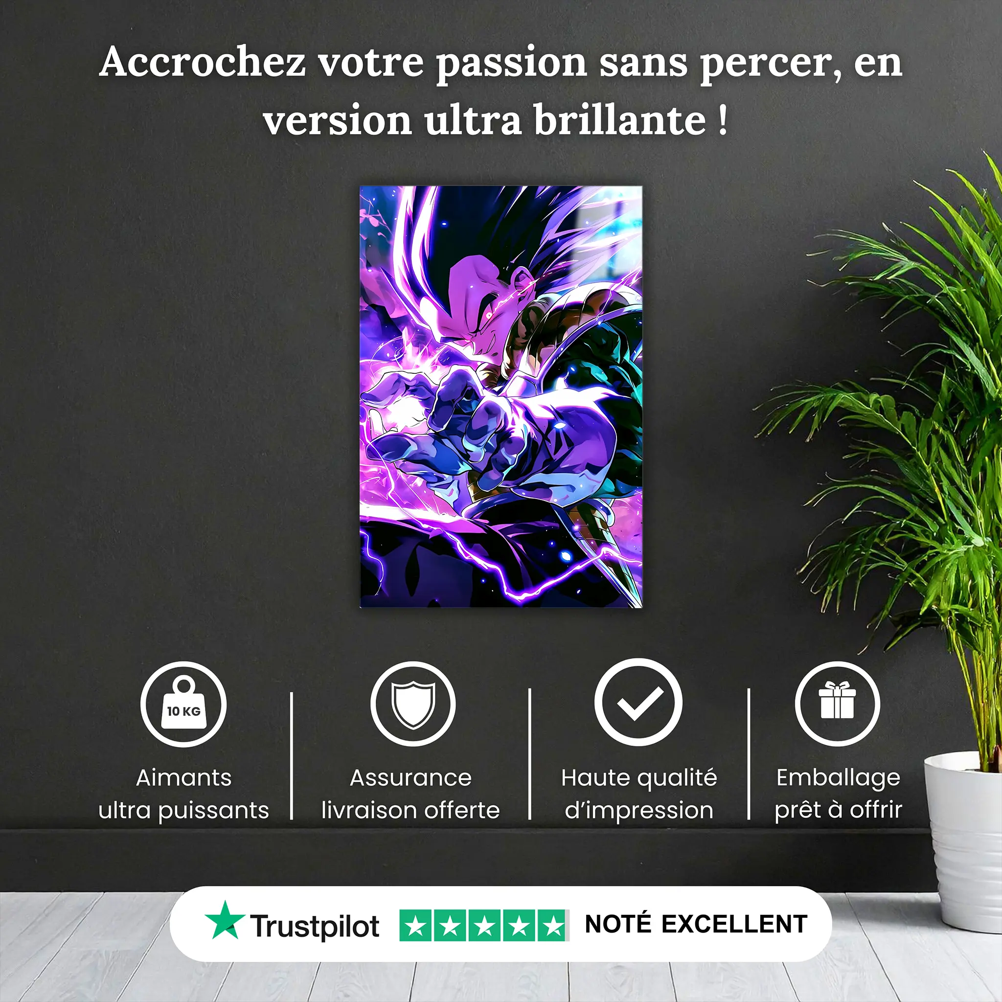 tableau-dragon-ball-z-vegeta-pourquoi-acheter | DreamWay