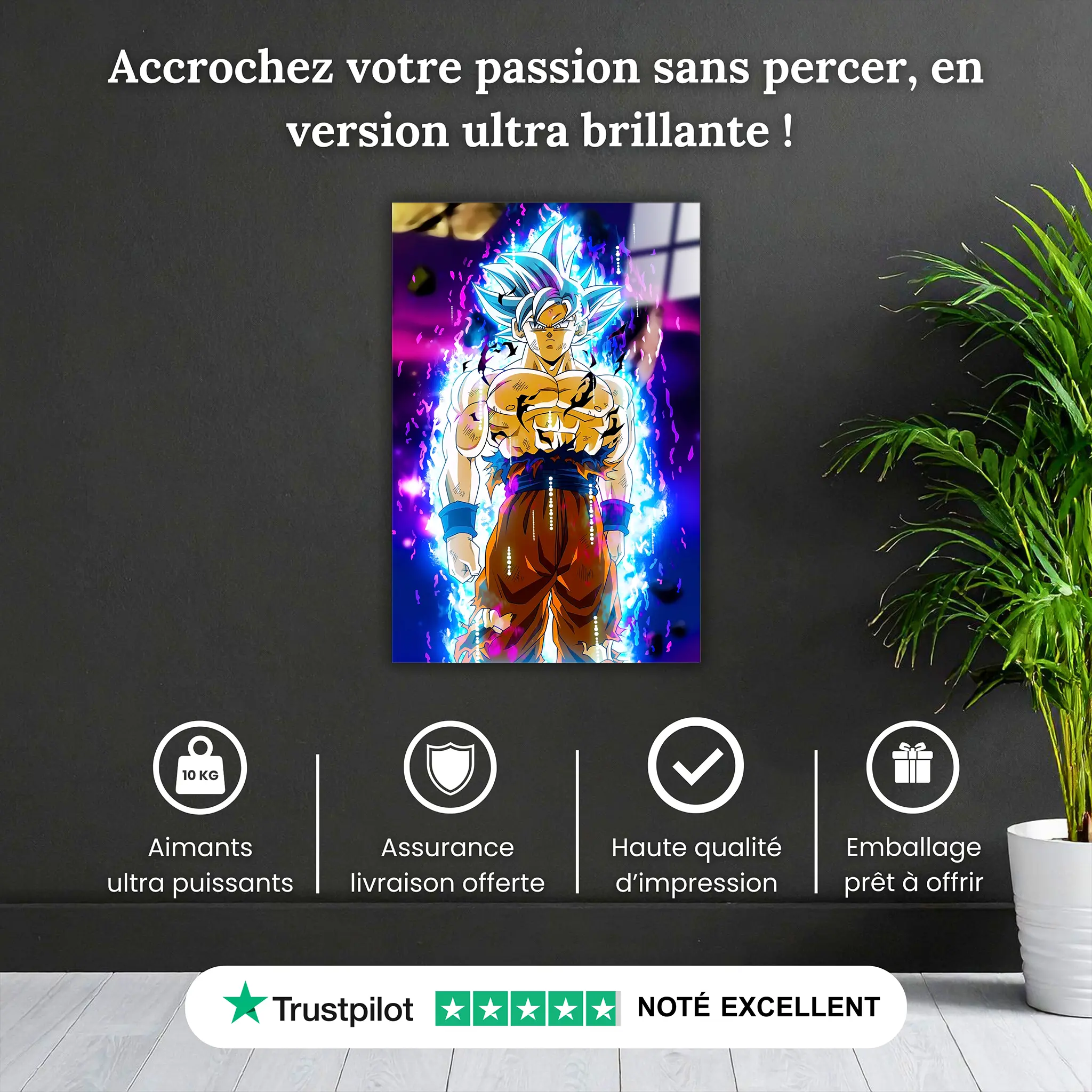 tableau-dragonball-goku-ultra-instinct-pourquoi-acheter | DreamWay
