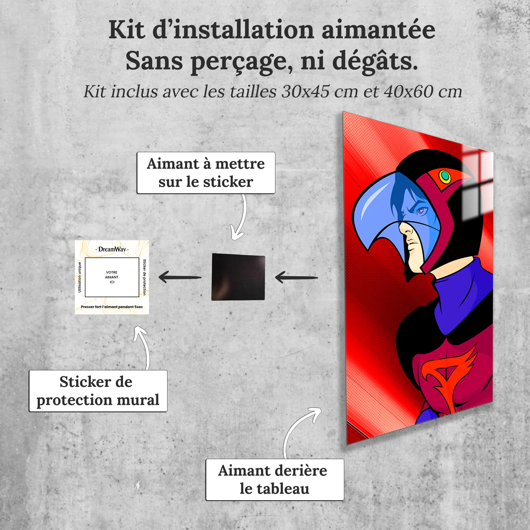 tableau-eagle-riders-condor-avec-installation-aimantee | DreamWay