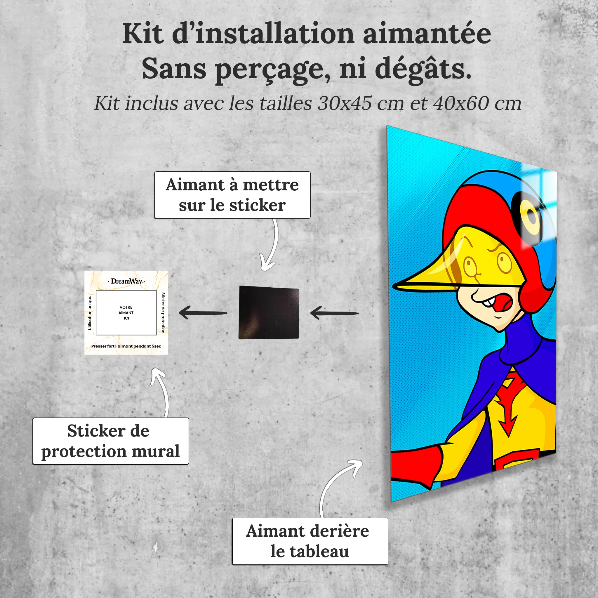 tableau-eagle-riders-swallow-avec-installation-aimantee | DreamWay