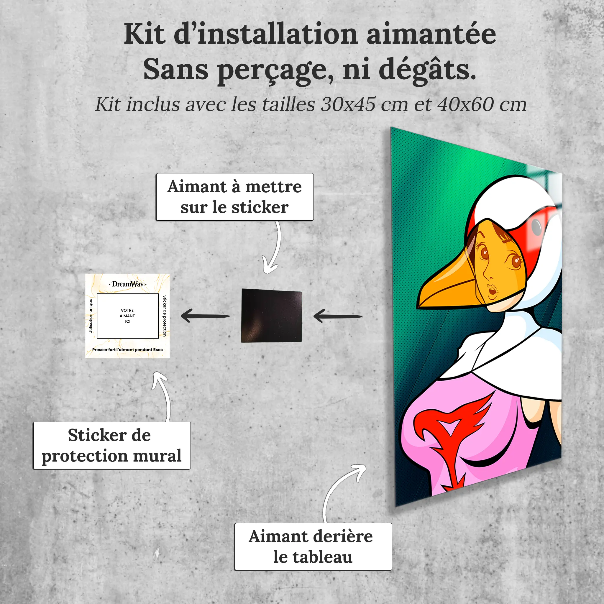 tableau-eagle-riders-swan-avec-installation-aimantee | DreamWay