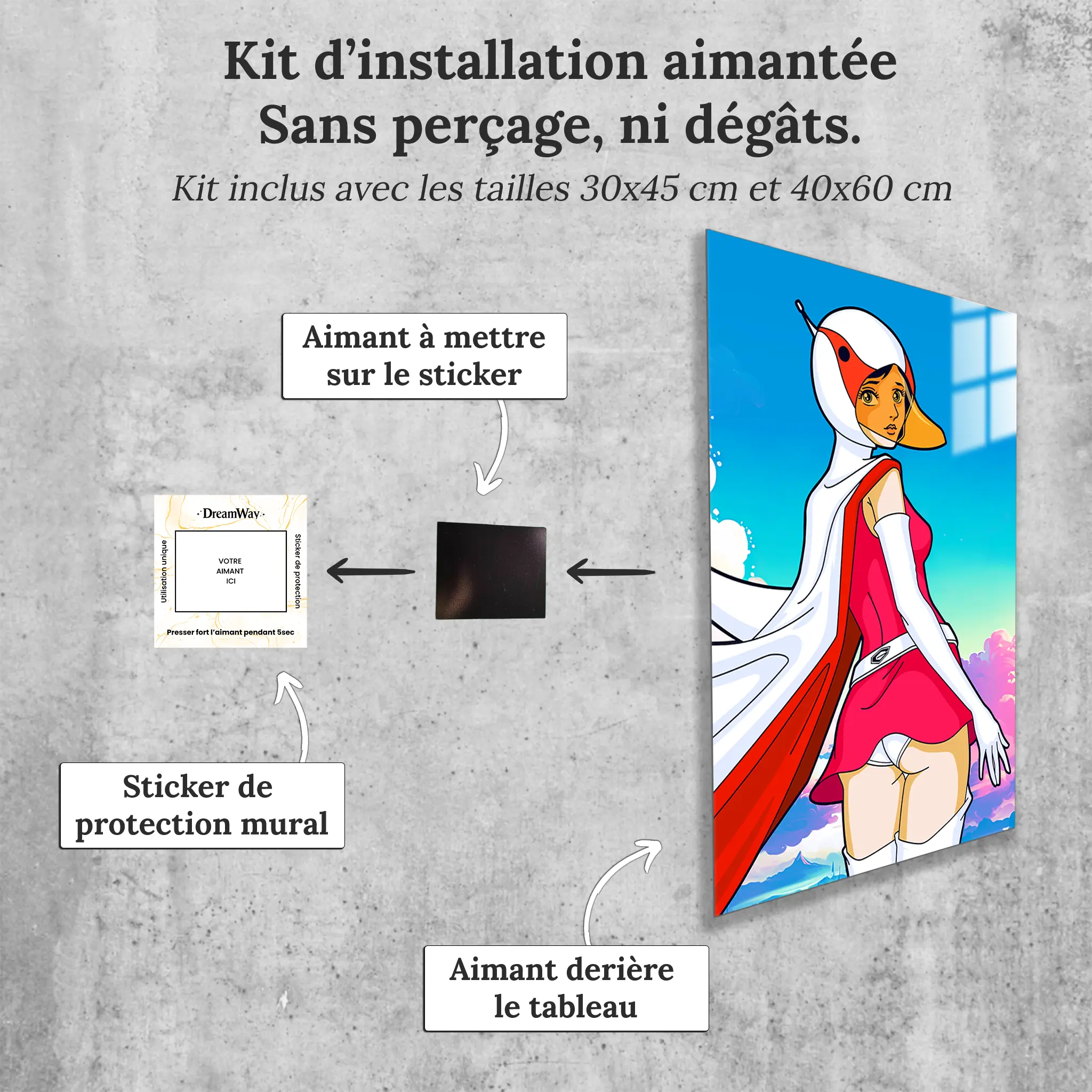 tableau-eagle-riders-swan-portrait-avec-installation-aimantee | DreamWay