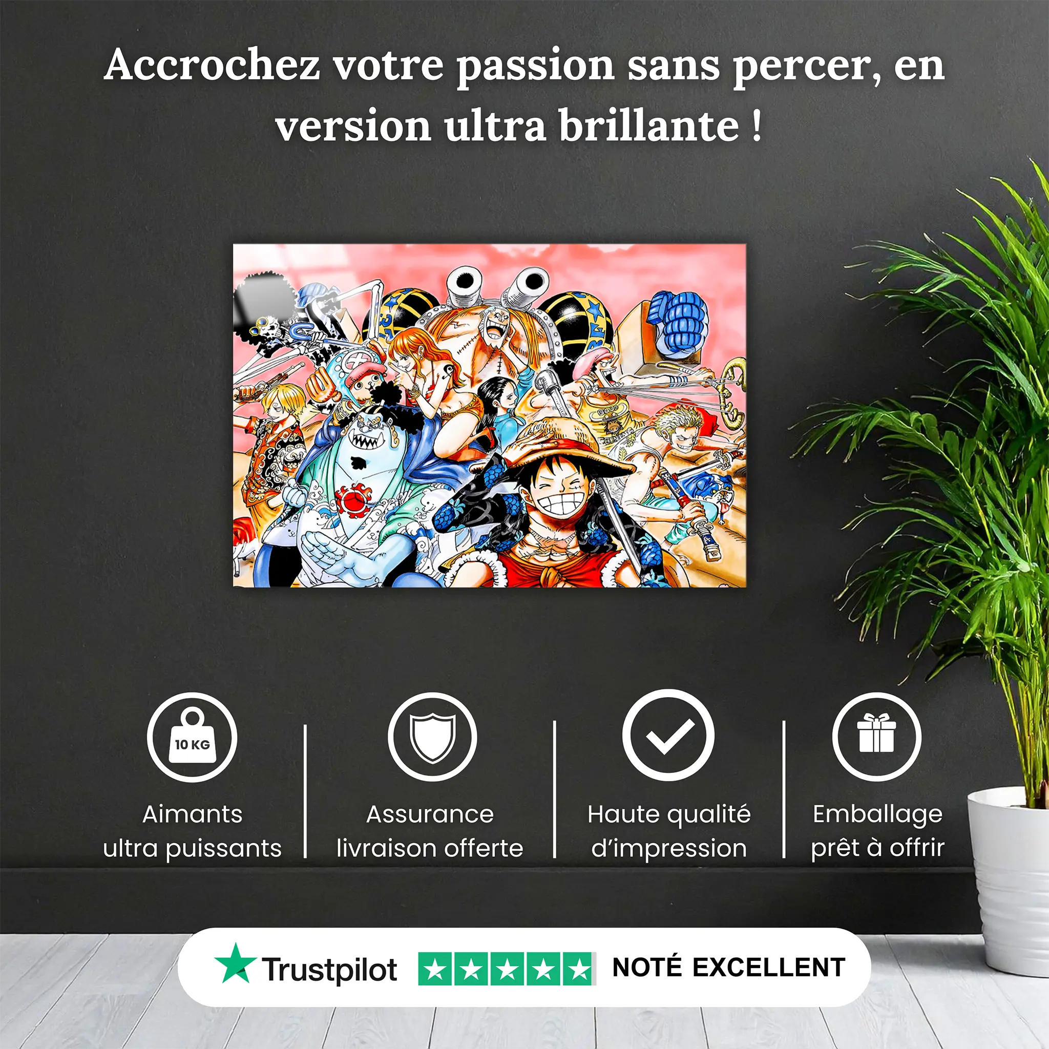 tableau-equipage-du-chapeau-de-paille-pourquoi-acheter | DreamWay