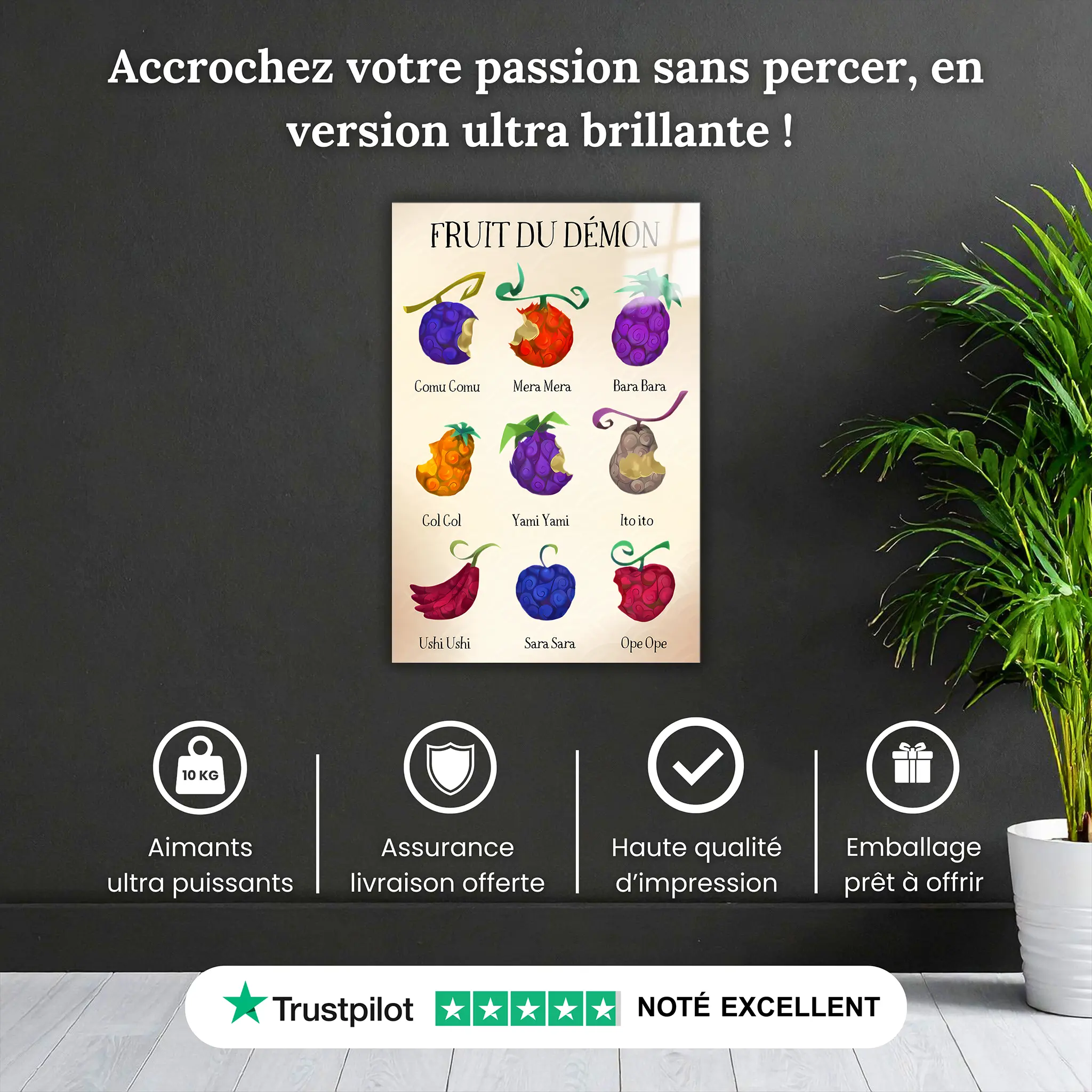 tableau-fruit-du-demon-pourquoi-acheter | DreamWay