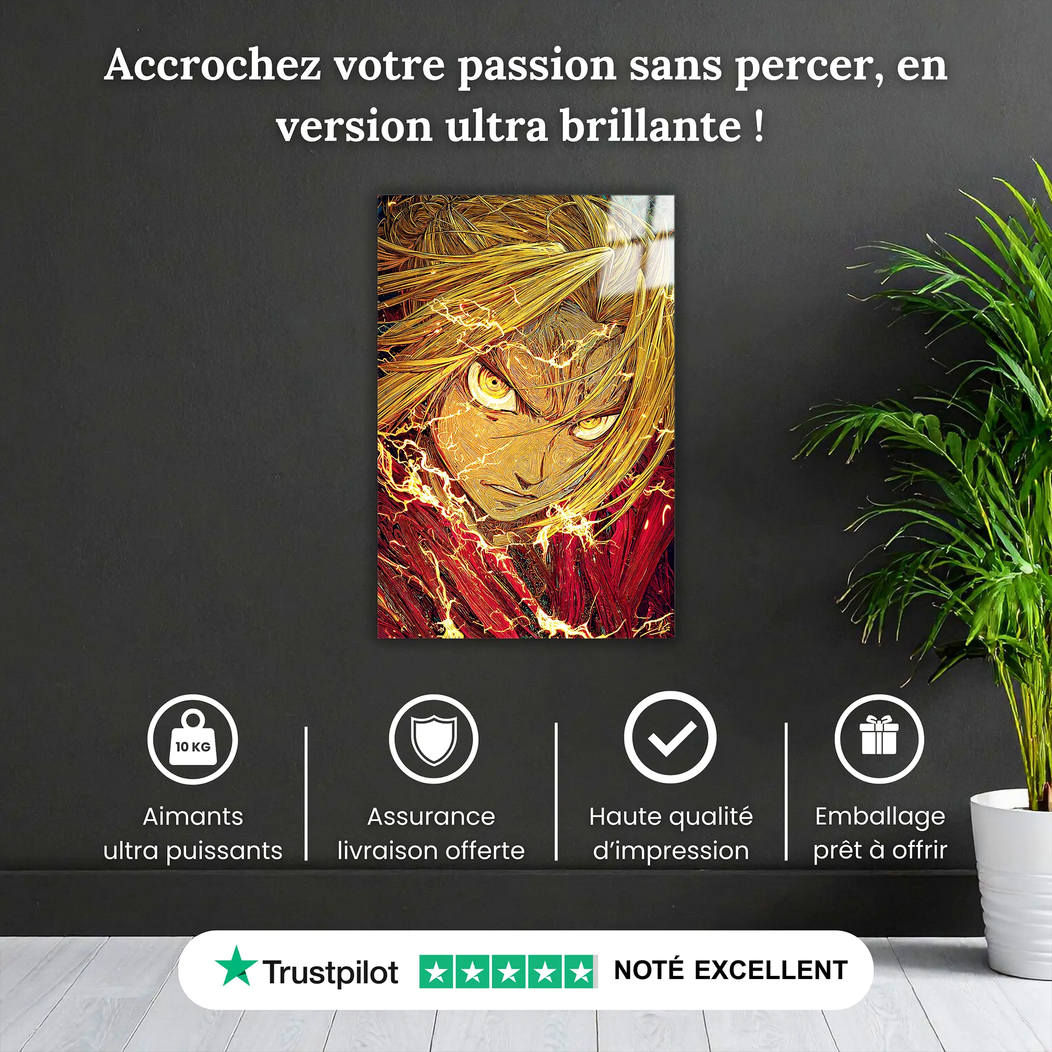 tableau-full-metal-alchemist-edward-elric-pourquoi-acheter | DreamWay