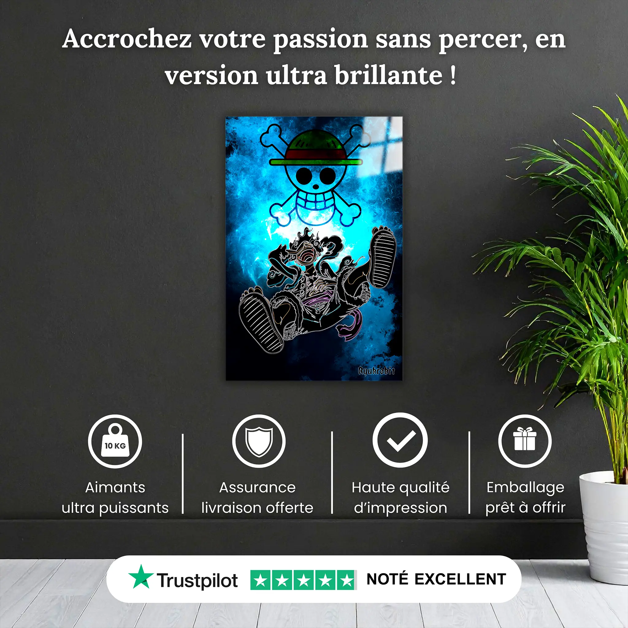 tableau-gear-5-luffy-pourquoi-acheter | DreamWay