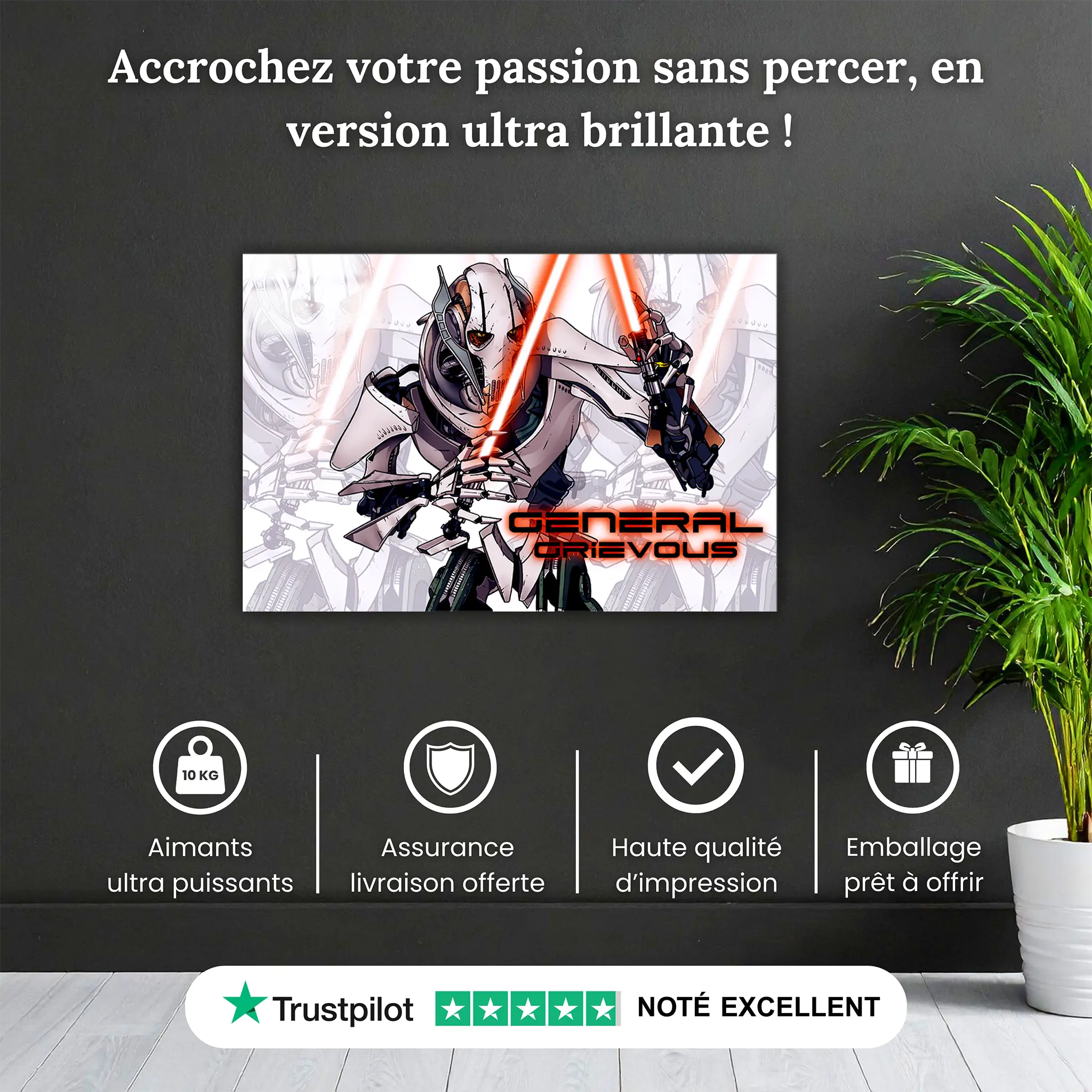 tableau-general-grievous-pourquoi-acheter | DreamWay