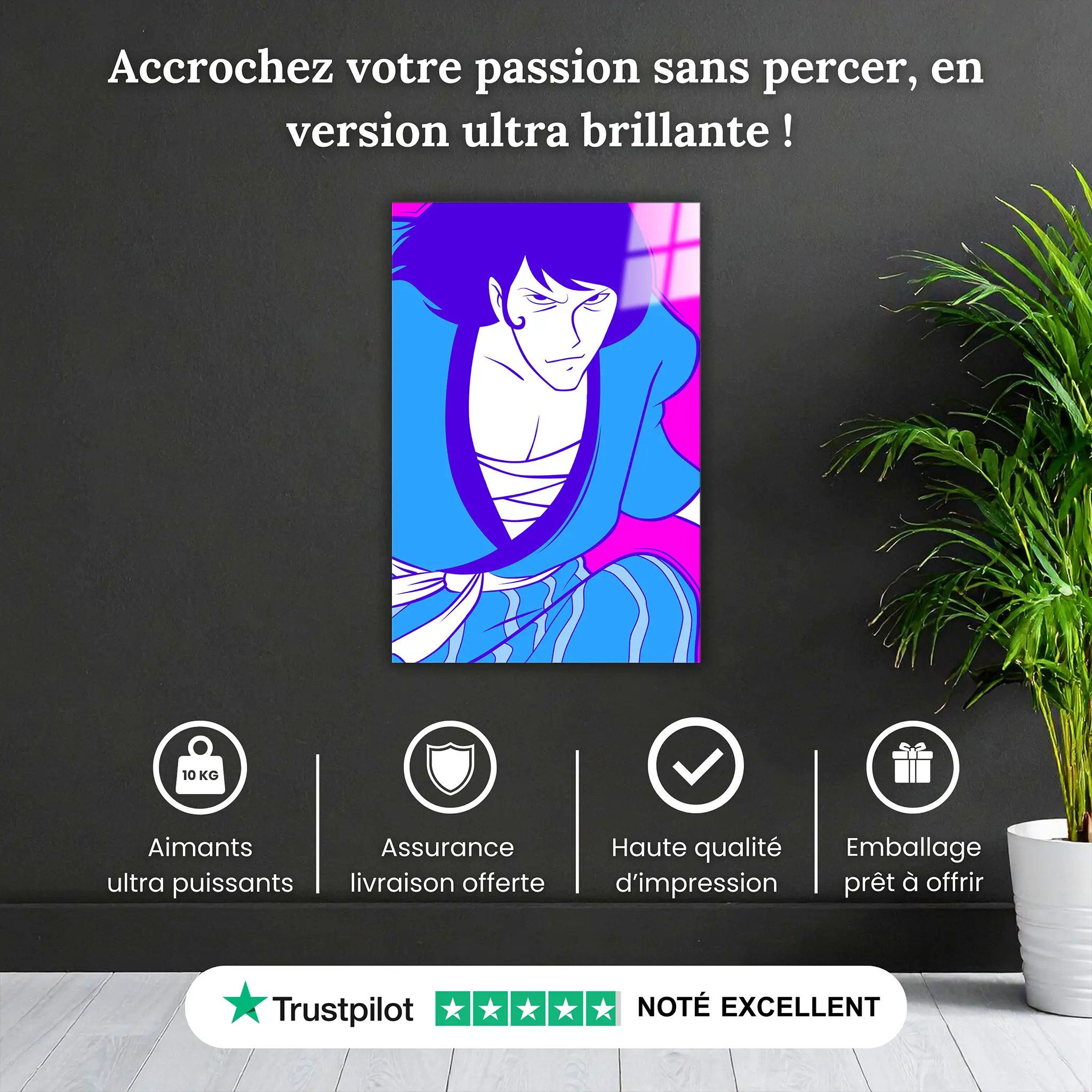 tableau-goemon-pourquoi-acheter | DreamWay