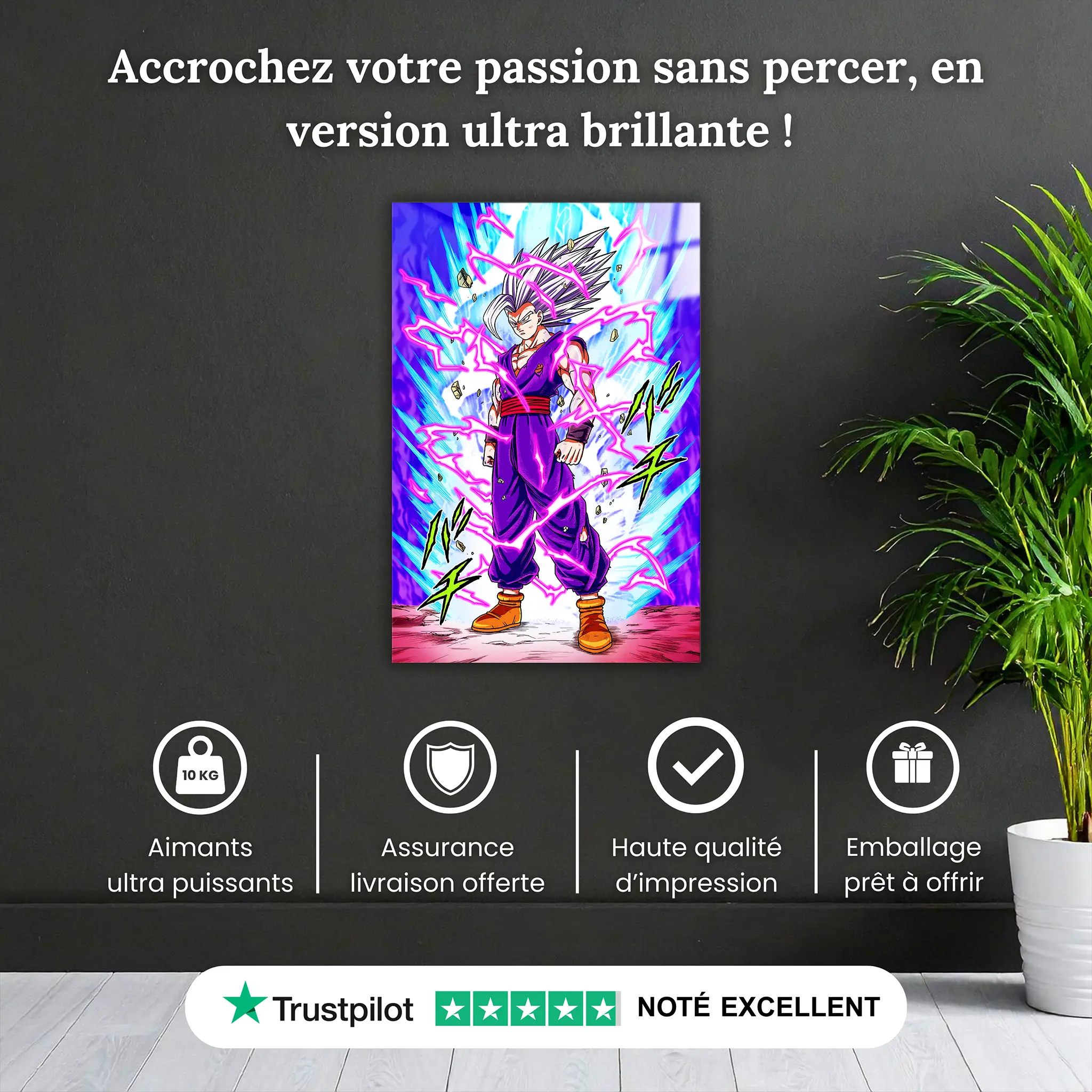 tableau-gohan-beast-pourquoi-acheter | DreamWay