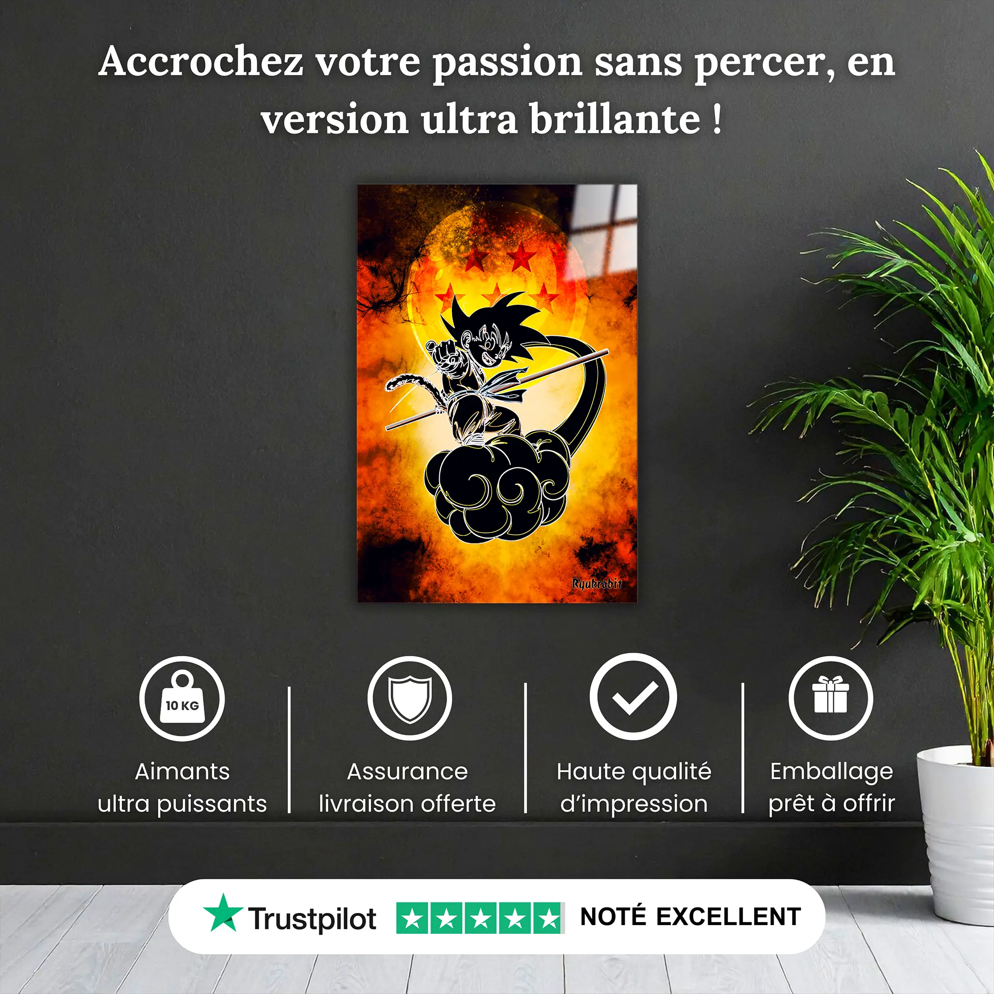 tableau-goku-enfant-nuage-colore-pourquoi-acheter | DreamWay