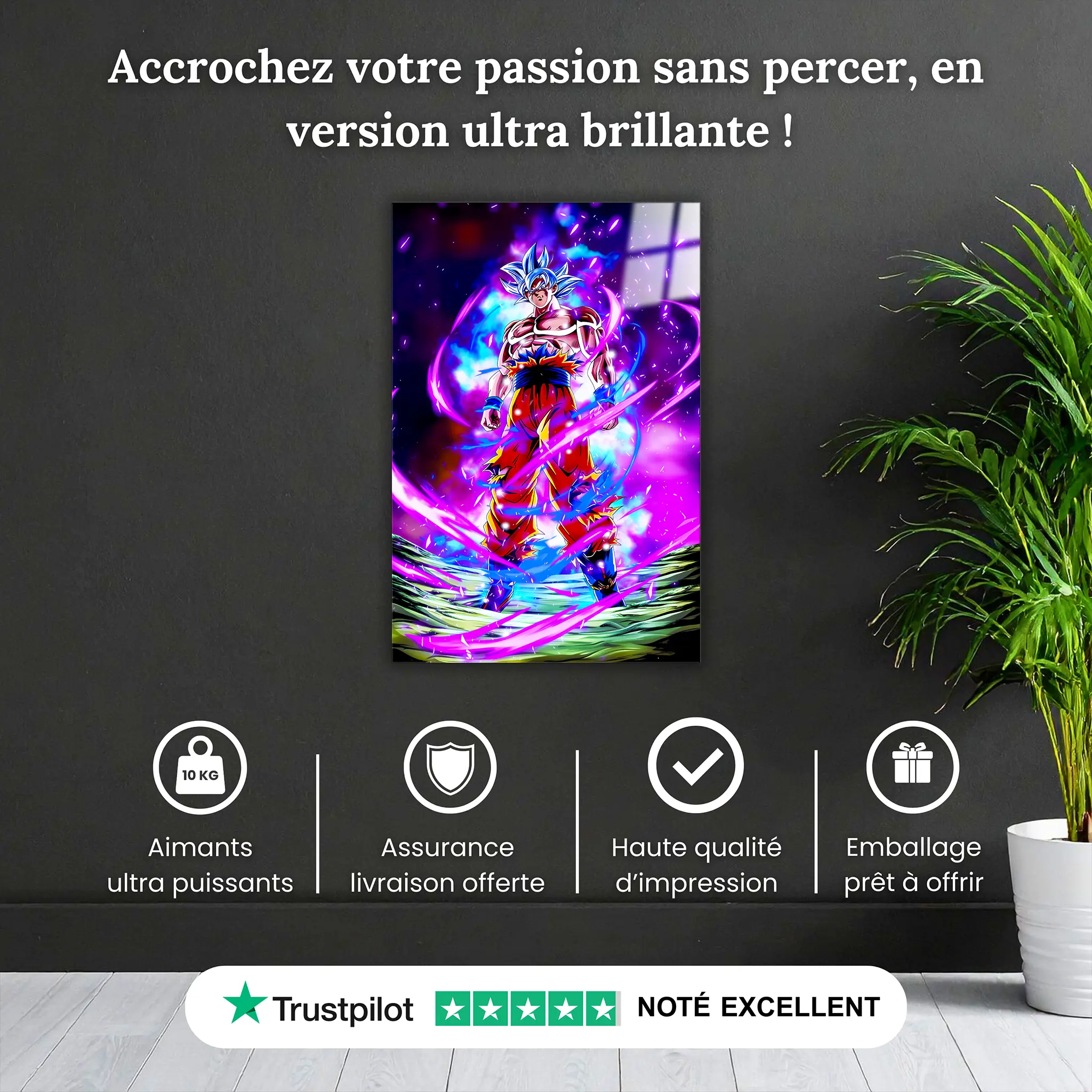 tableau-goku-ultra-instinct-violet-pourquoi-acheter | DreamWay
