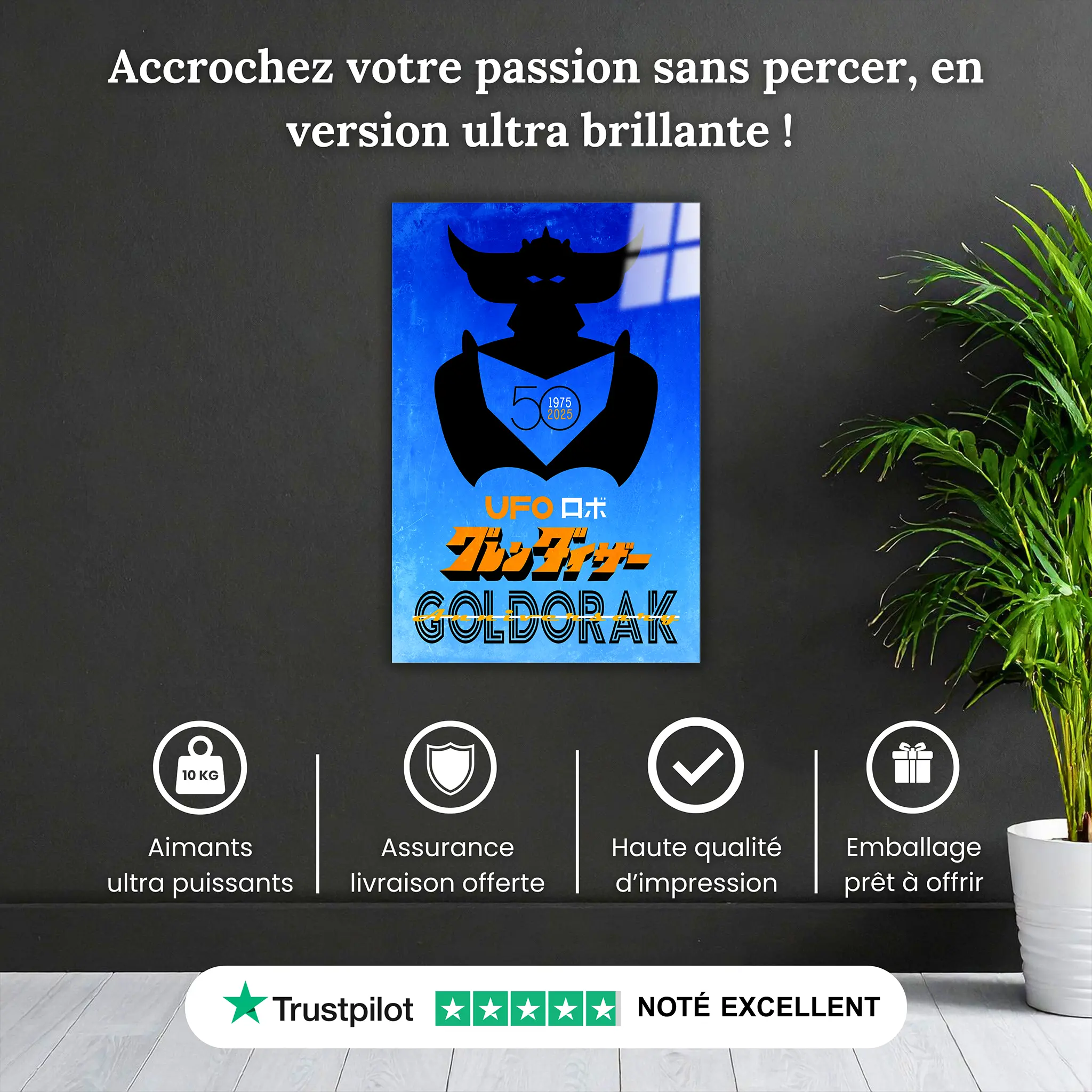 tableau-goldorak-50-ans-affiche-bleu-pourquoi-acheter | DreamWay