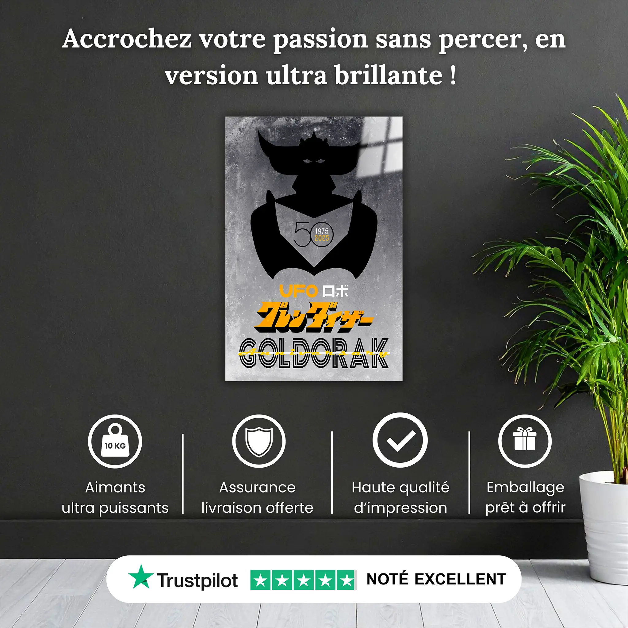 tableau-goldorak-50-ans-affiche-gris-pourquoi-acheter | DreamWay