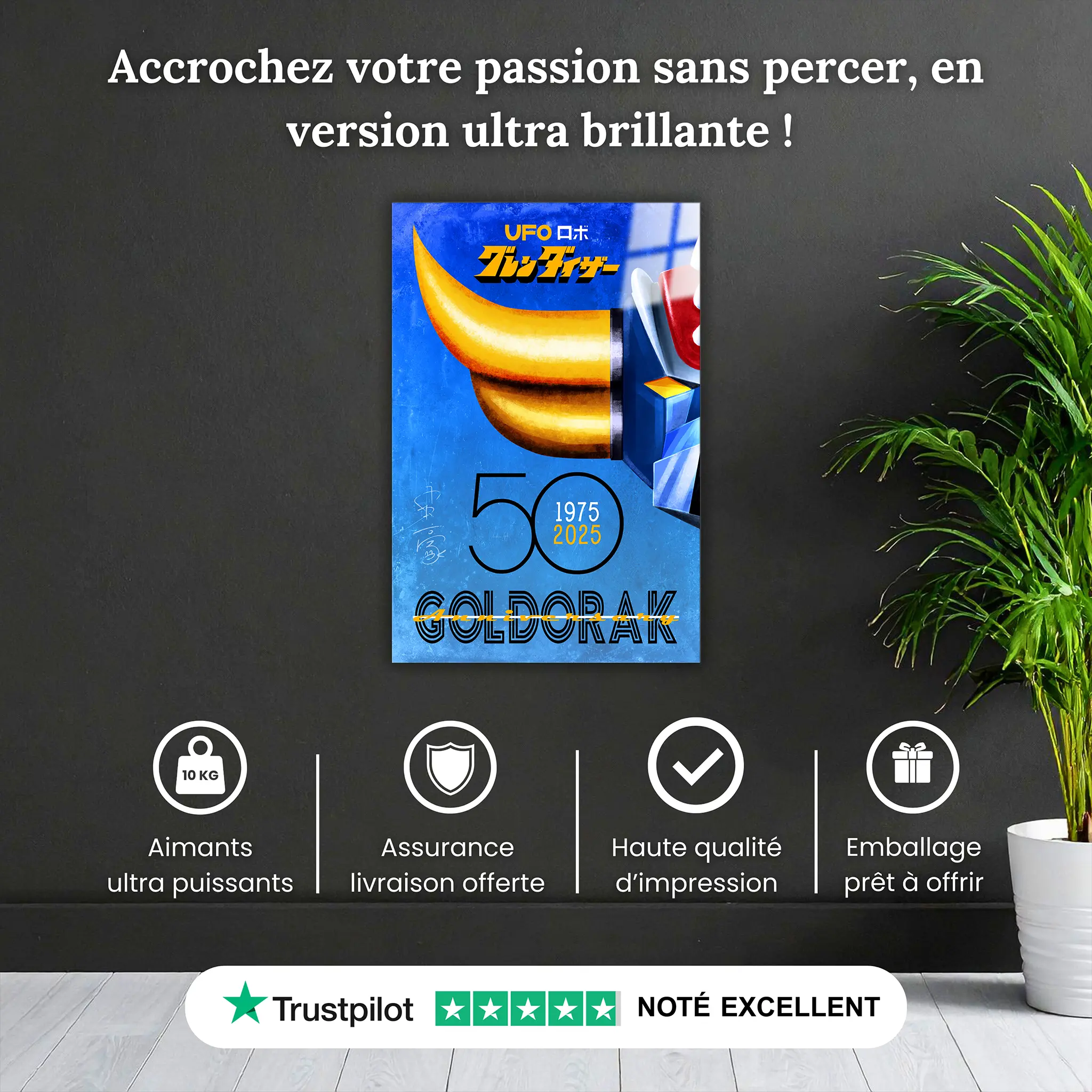 tableau-goldorak-50-ans-bleu-pourquoi-acheter | DreamWay