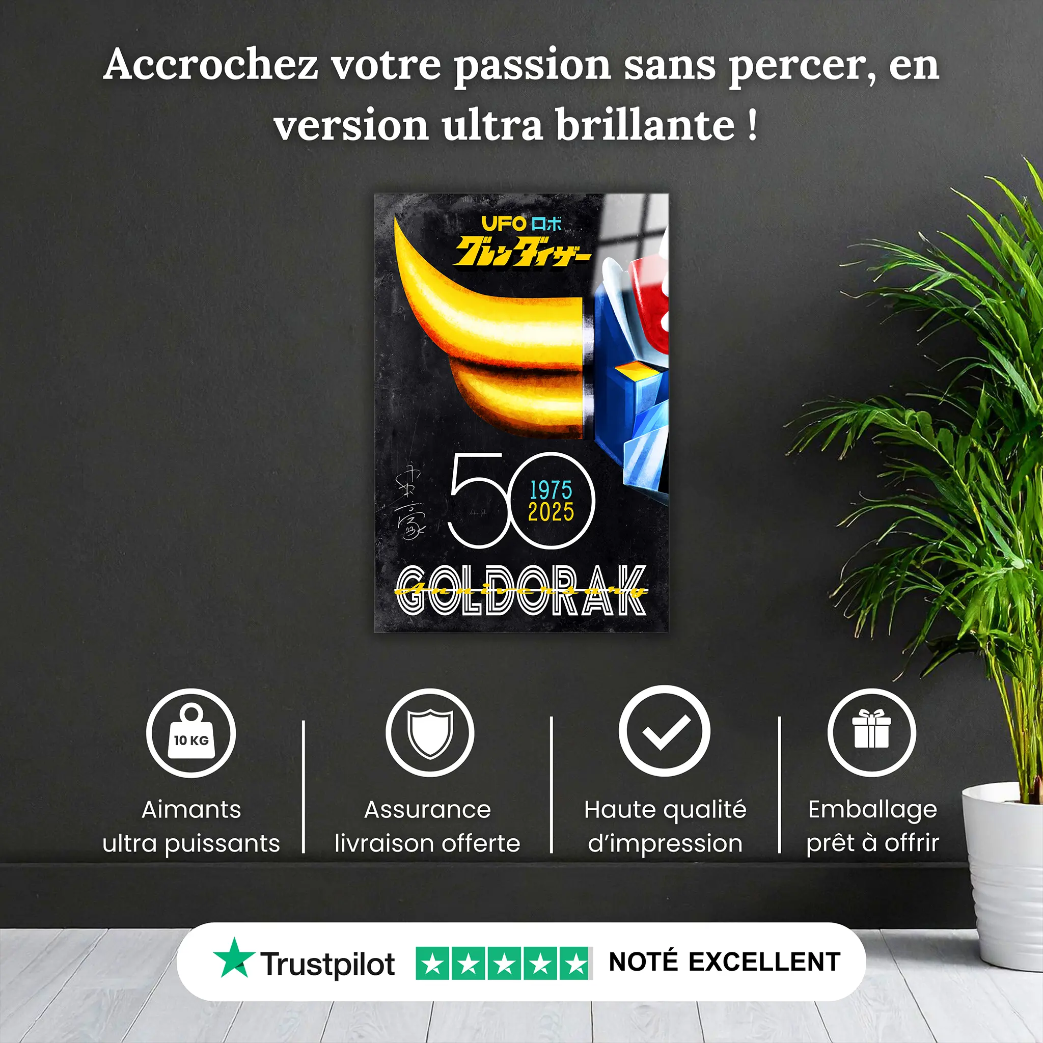 tableau-goldorak-50-ans-gris-pourquoi-acheter | DreamWay
