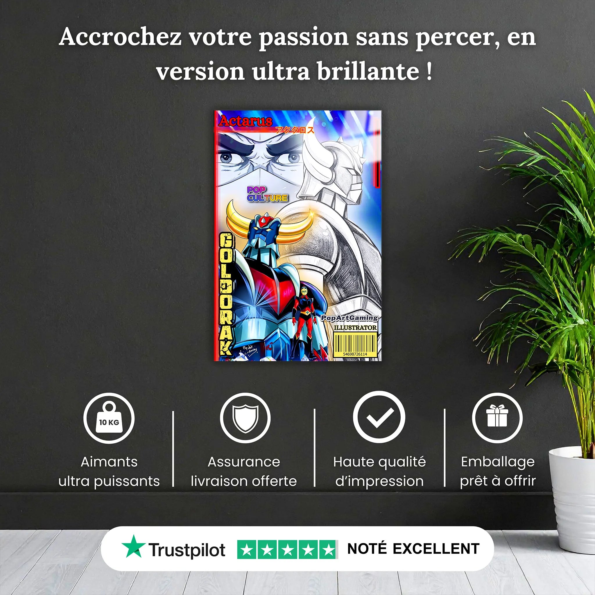 Tableau Goldorak Affiche BD