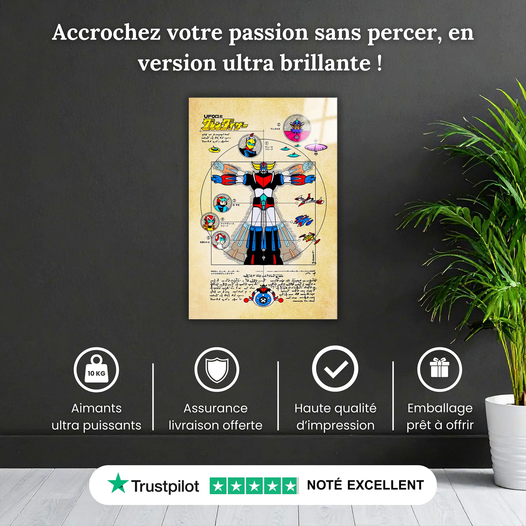 tableau-goldorak-affiche-vintage-pourquoi-acheter | DreamWay