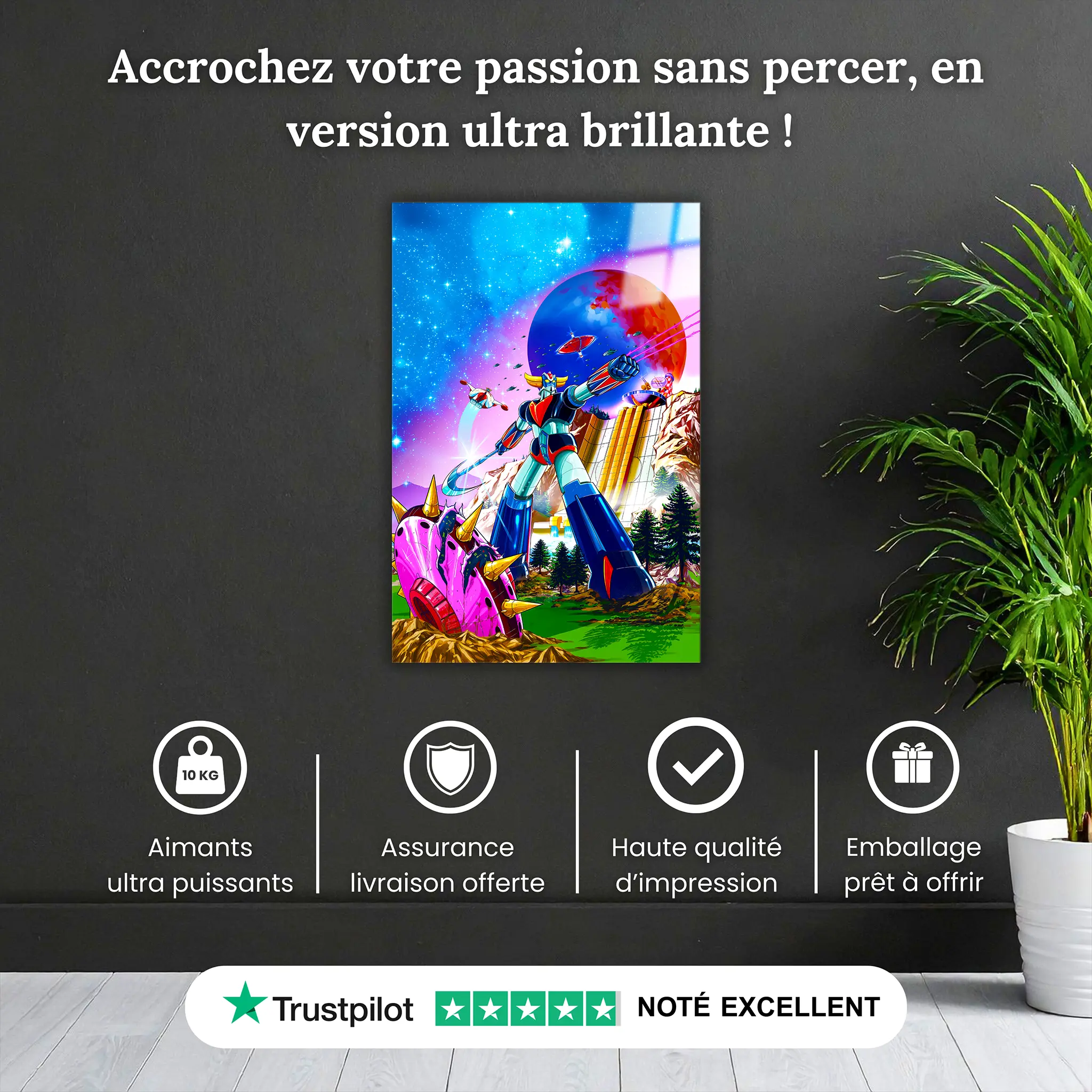 tableau-goldorak-colore-pourquoi-acheter | DreamWay