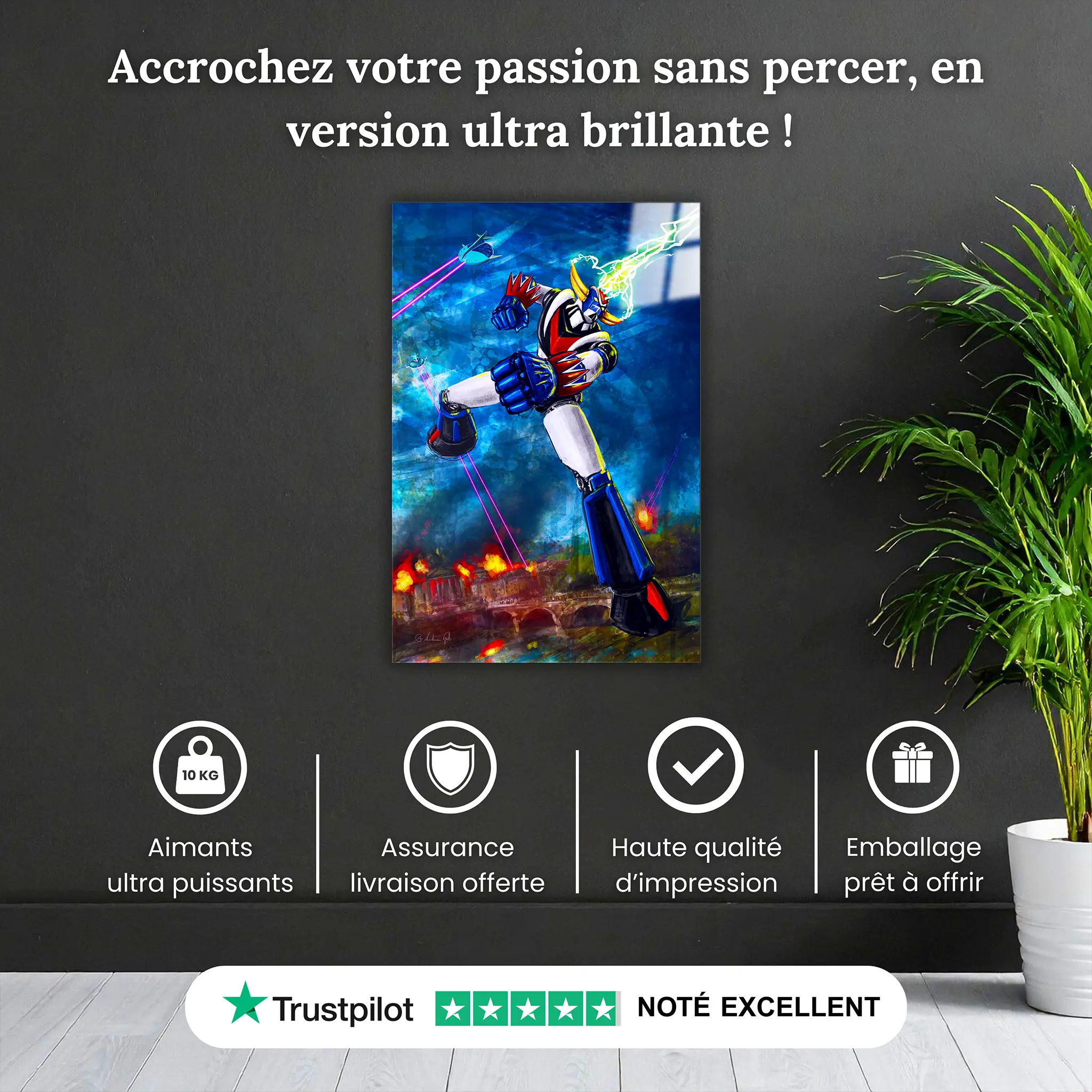 tableau-goldorak-coup-elcair-pourquoi-acheter | DreamWay