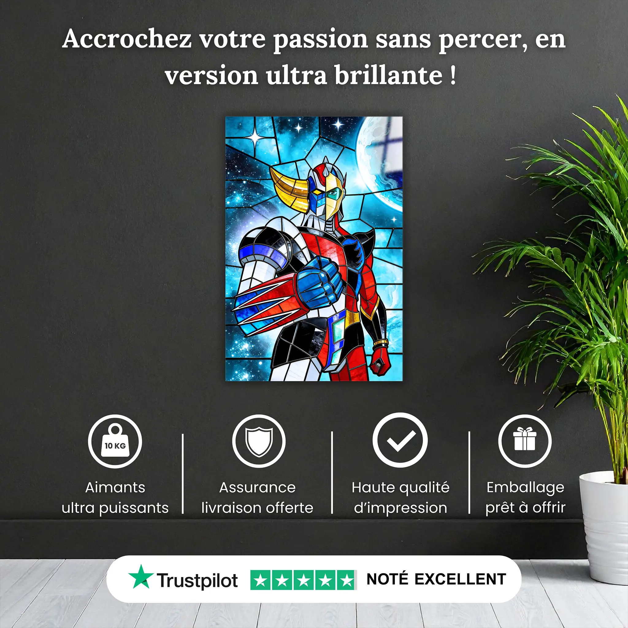 Tableau Goldorak Et Actarus Fusion Vitrail