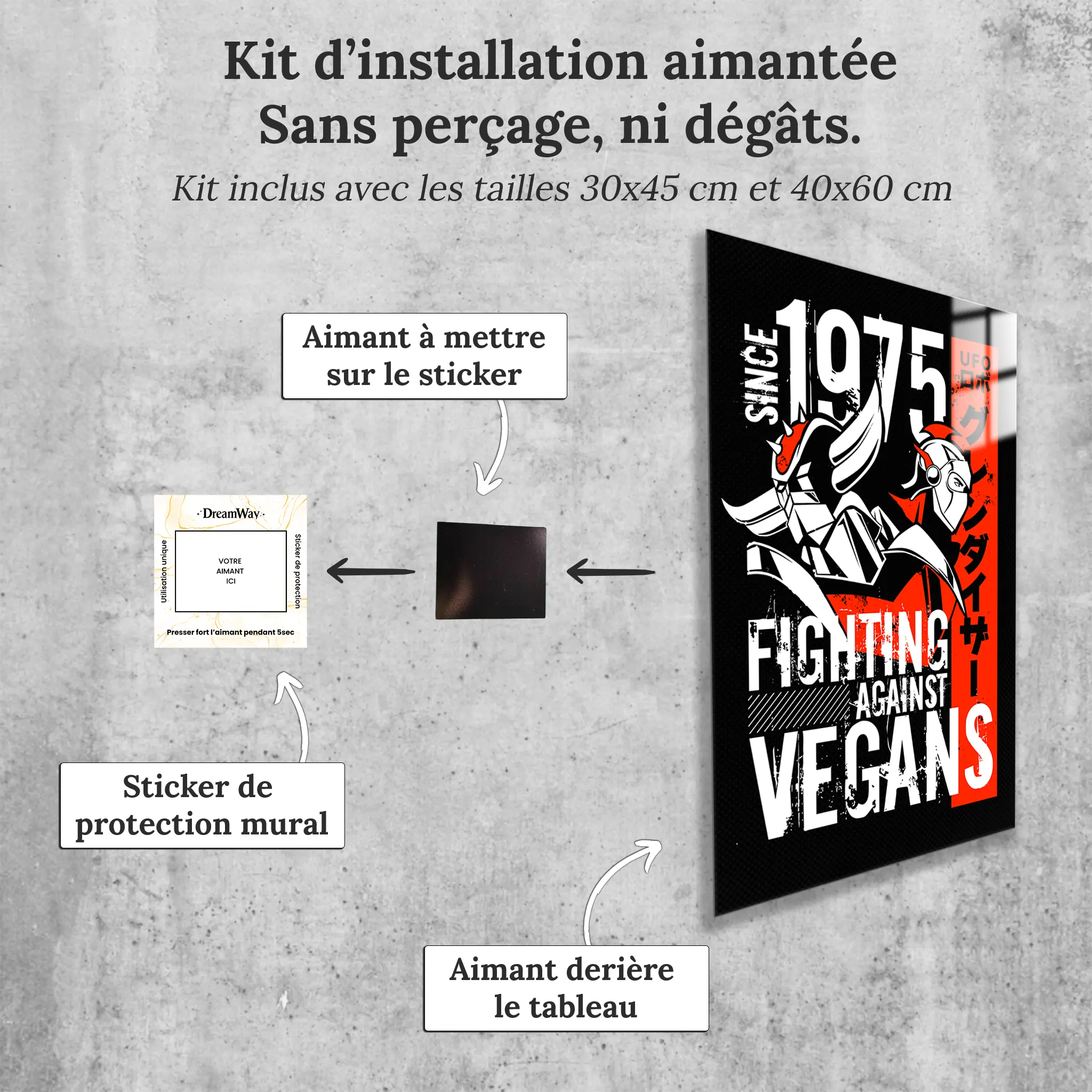 tableau-goldorak-et-actarus-affiche-retro-avec-installation-aimantee | DreamWay
