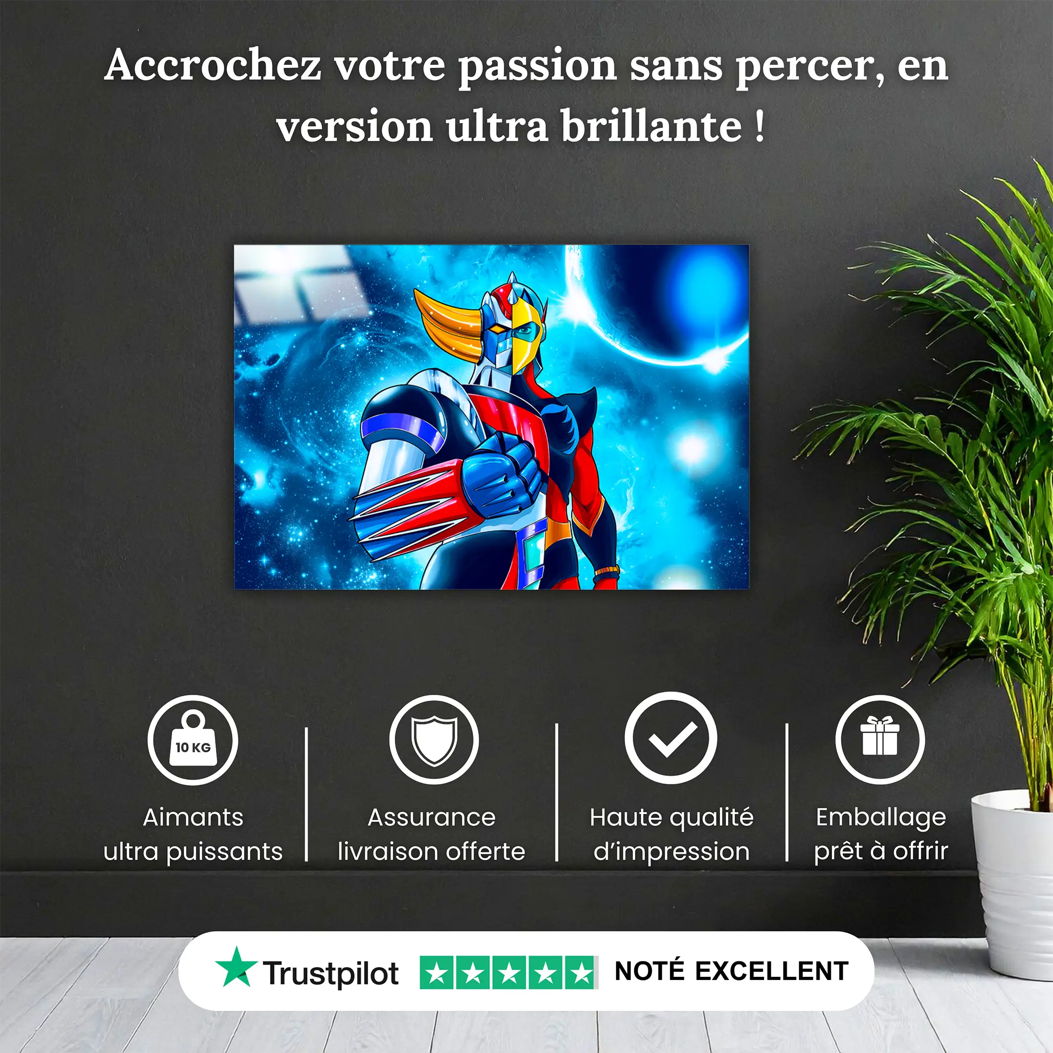 tableau-goldorak-et-actarus-fusion-pourquoi-acheter | DreamWay