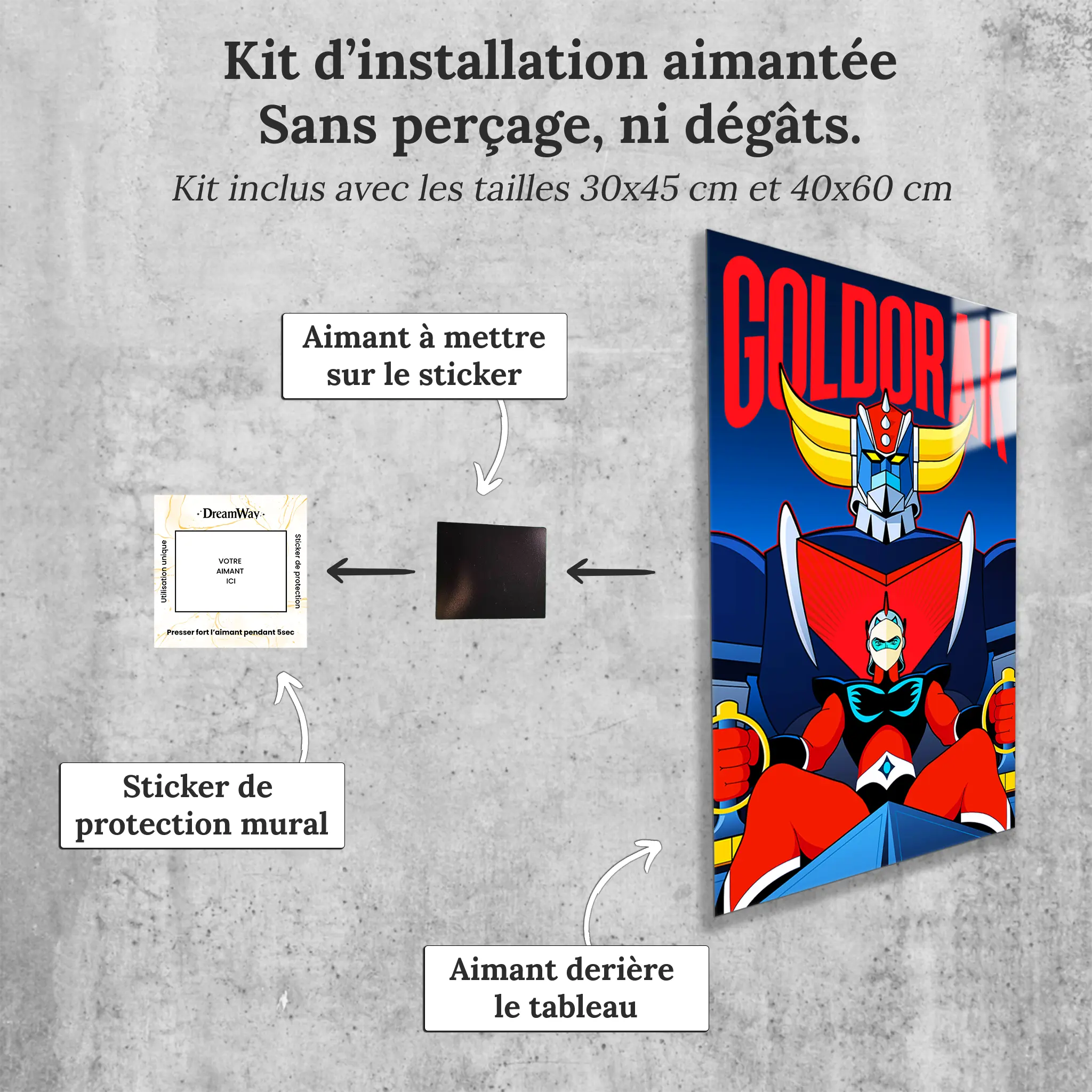 Tableau Goldorak Et Actarus Pilote