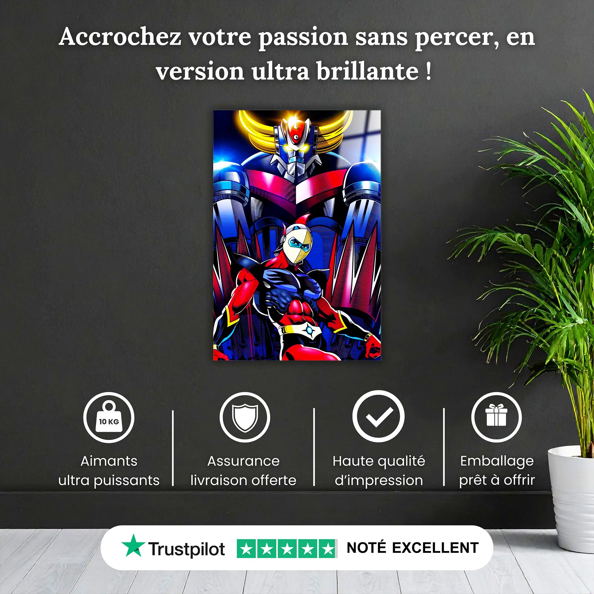 tableau-goldorak-et-actarus-portrait-pourquoi-acheter | DreamWay