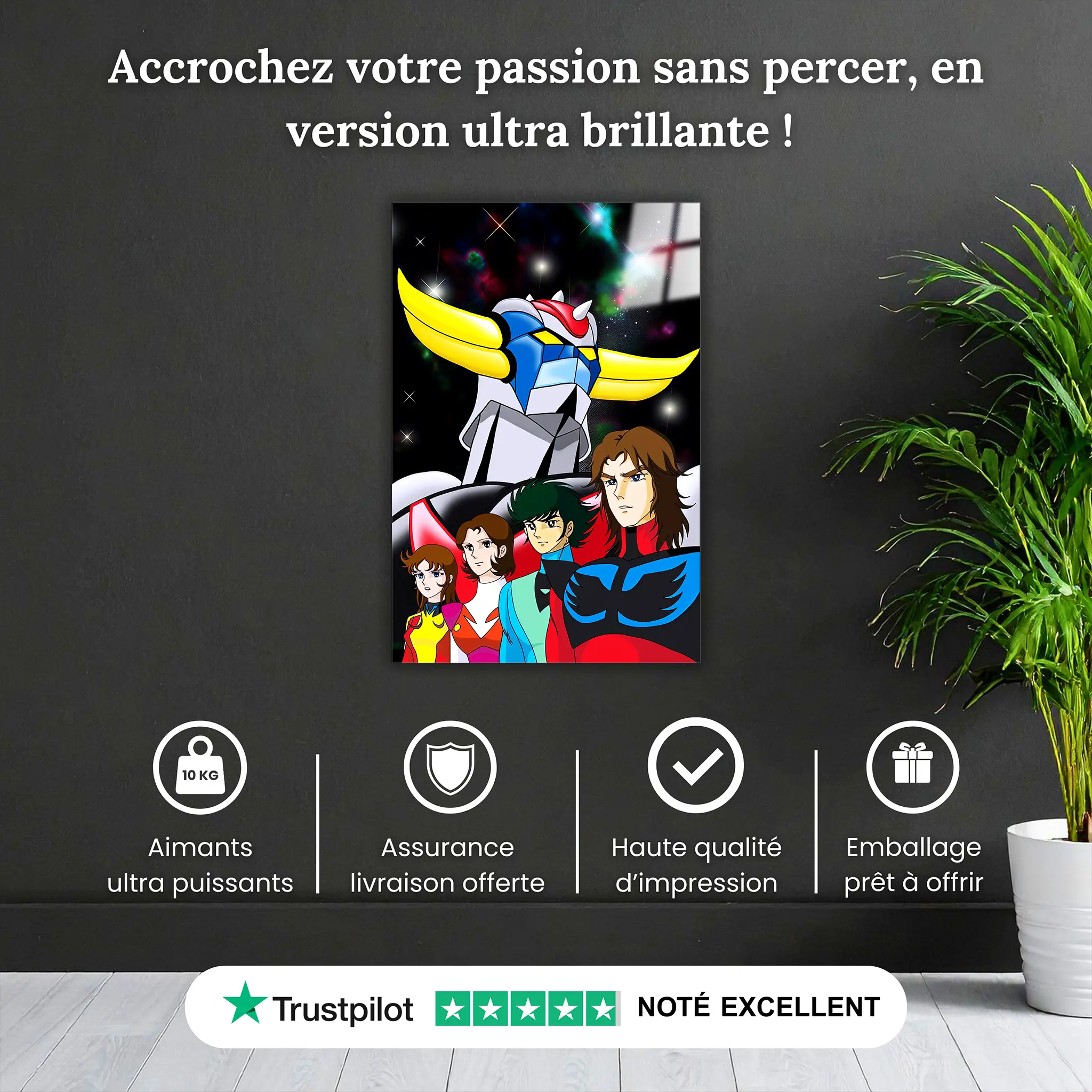 tableau-goldorak-et-son-equipe-galaxy-pourquoi-acheter | DreamWay