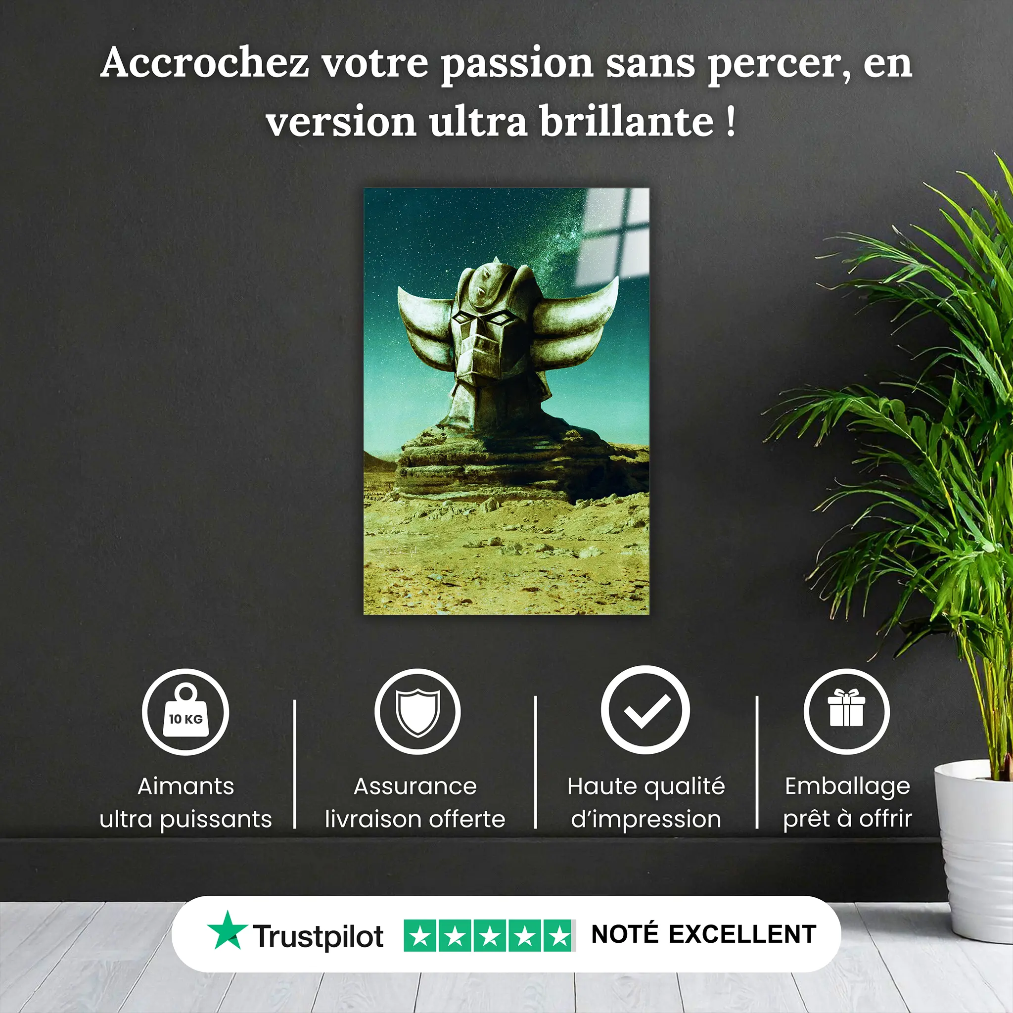 tableau-goldorak-etoile-pourquoi-acheter | DreamWay