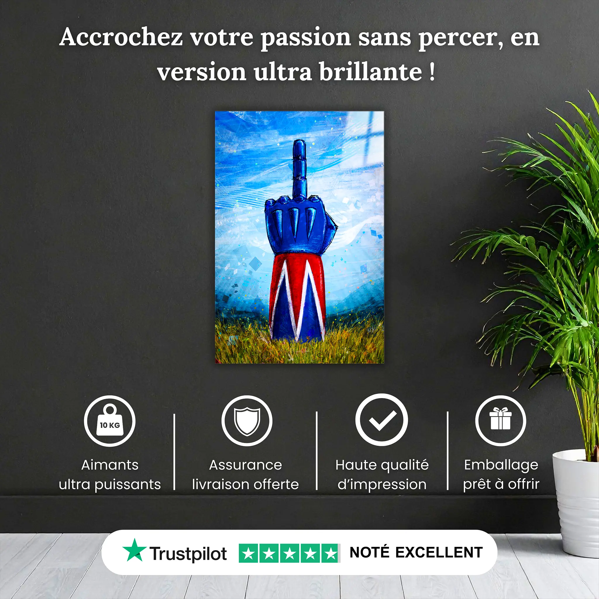tableau-goldorak-fuck-pourquoi-acheter | DreamWay