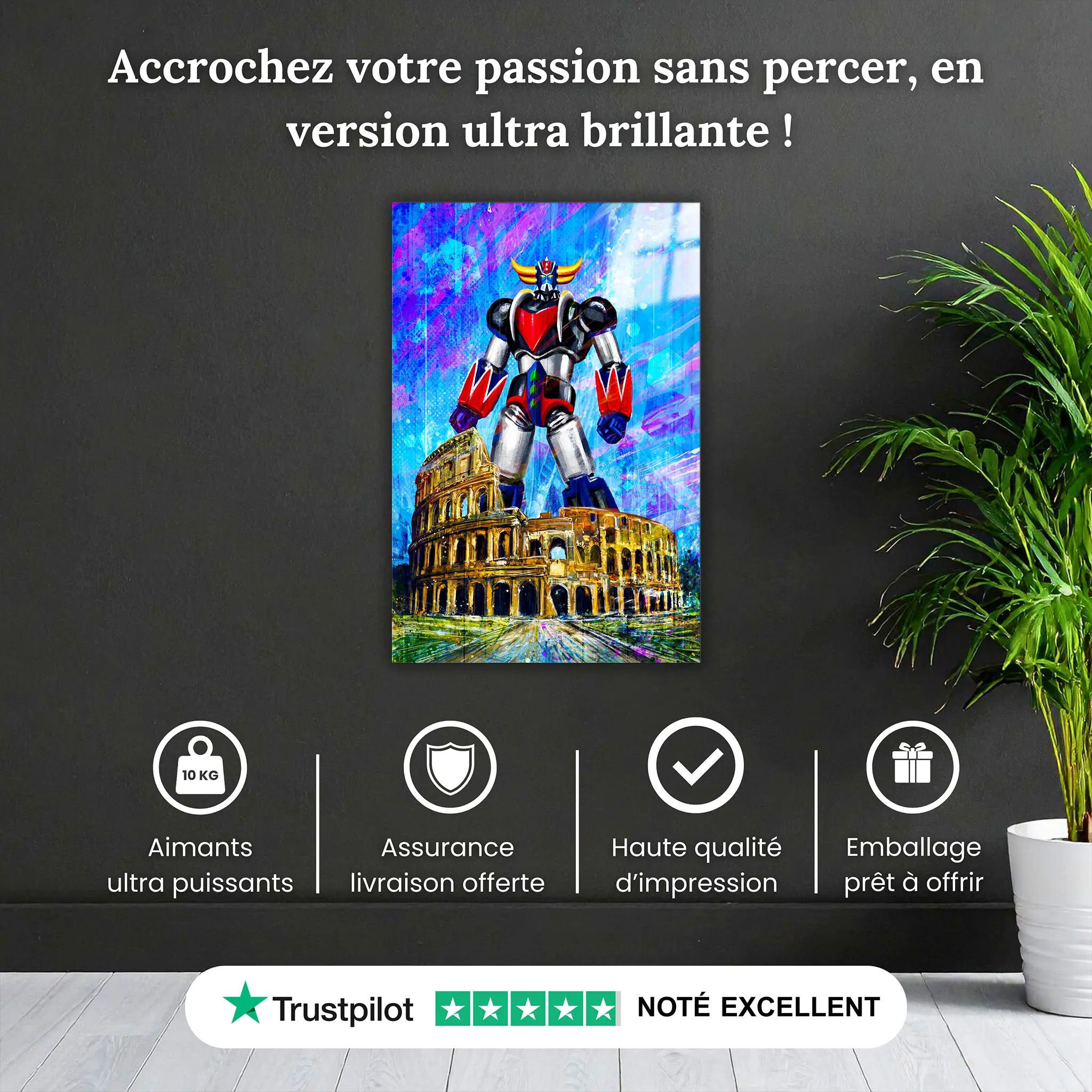tableau-goldorak-le-colissee-pourquoi-acheter | DreamWay