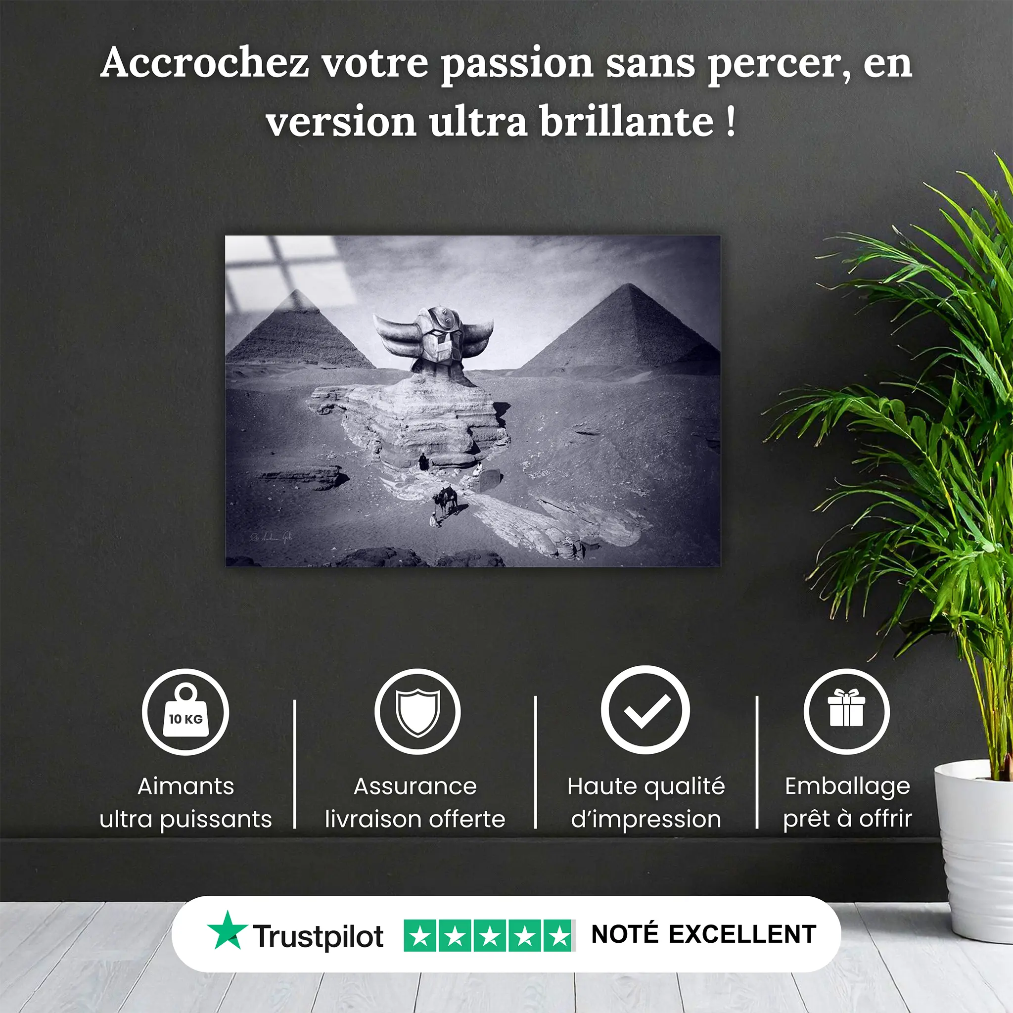 tableau-goldorak-montagne-pourquoi-acheter | DreamWay