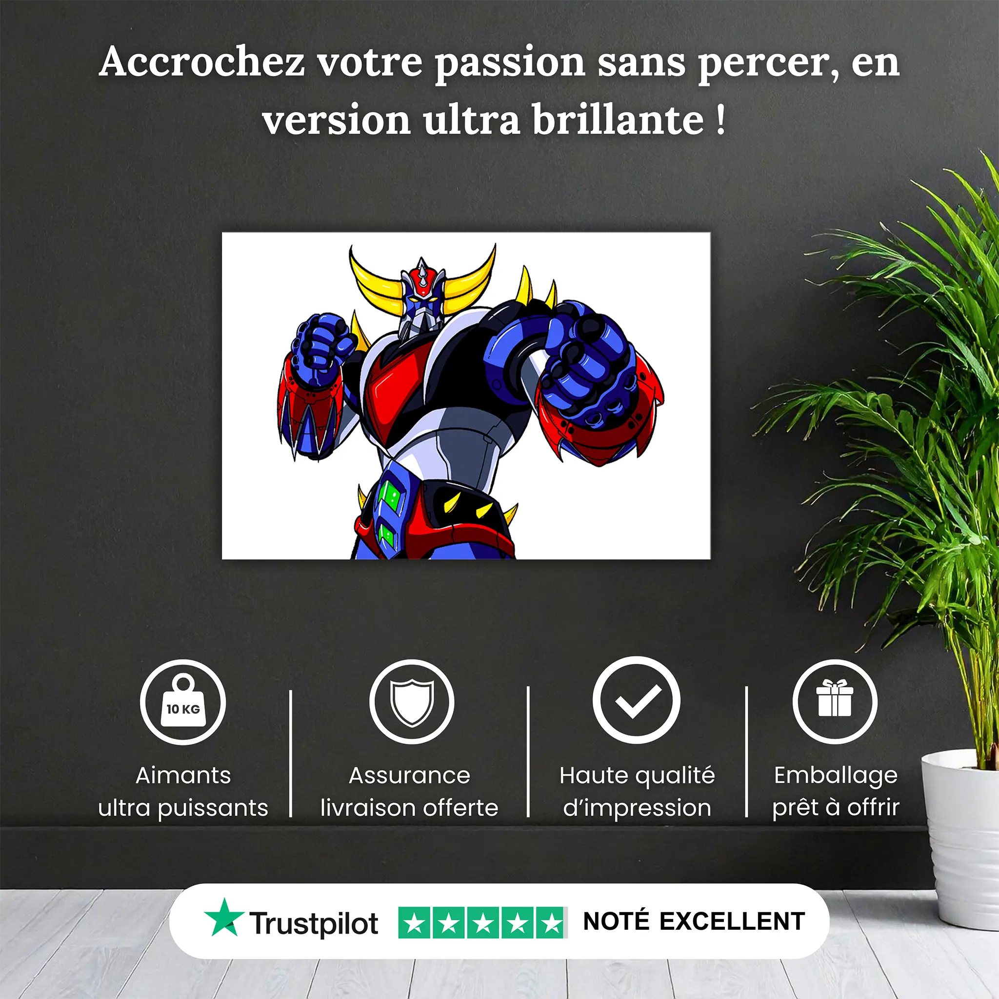 tableau-goldorak-portrait-pourquoi-acheter | DreamWay