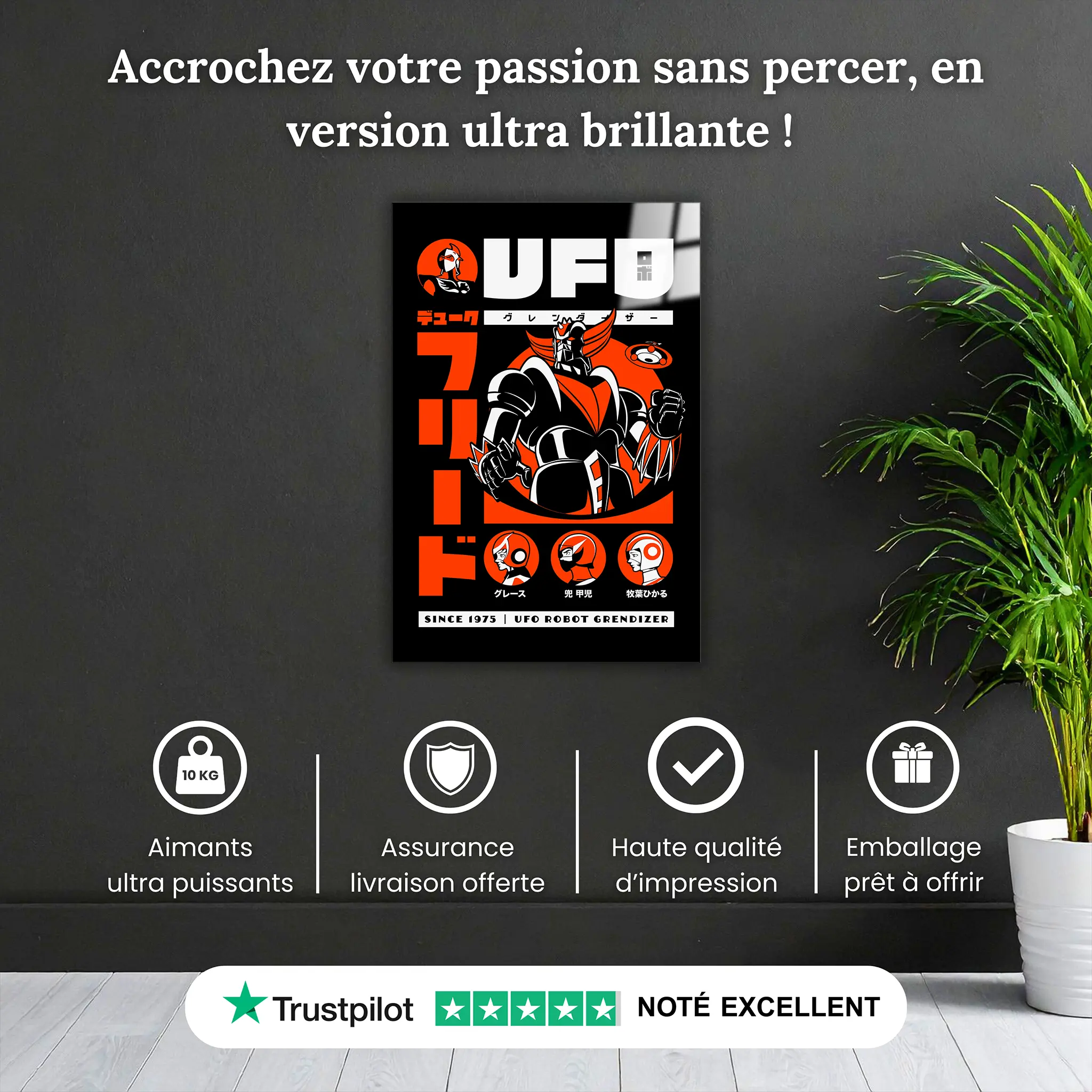 tableau-goldorak-retro-noir-pourquoi-acheter | DreamWay