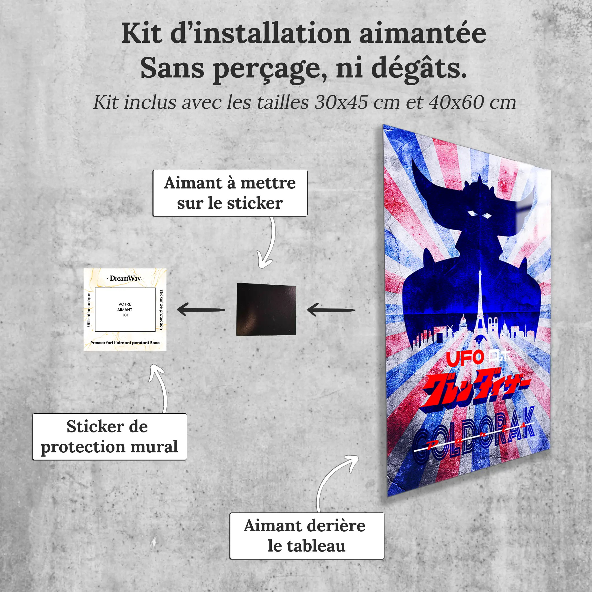 tableau-goldorak-tricolore-avec-installation-aimantee | DreamWay
