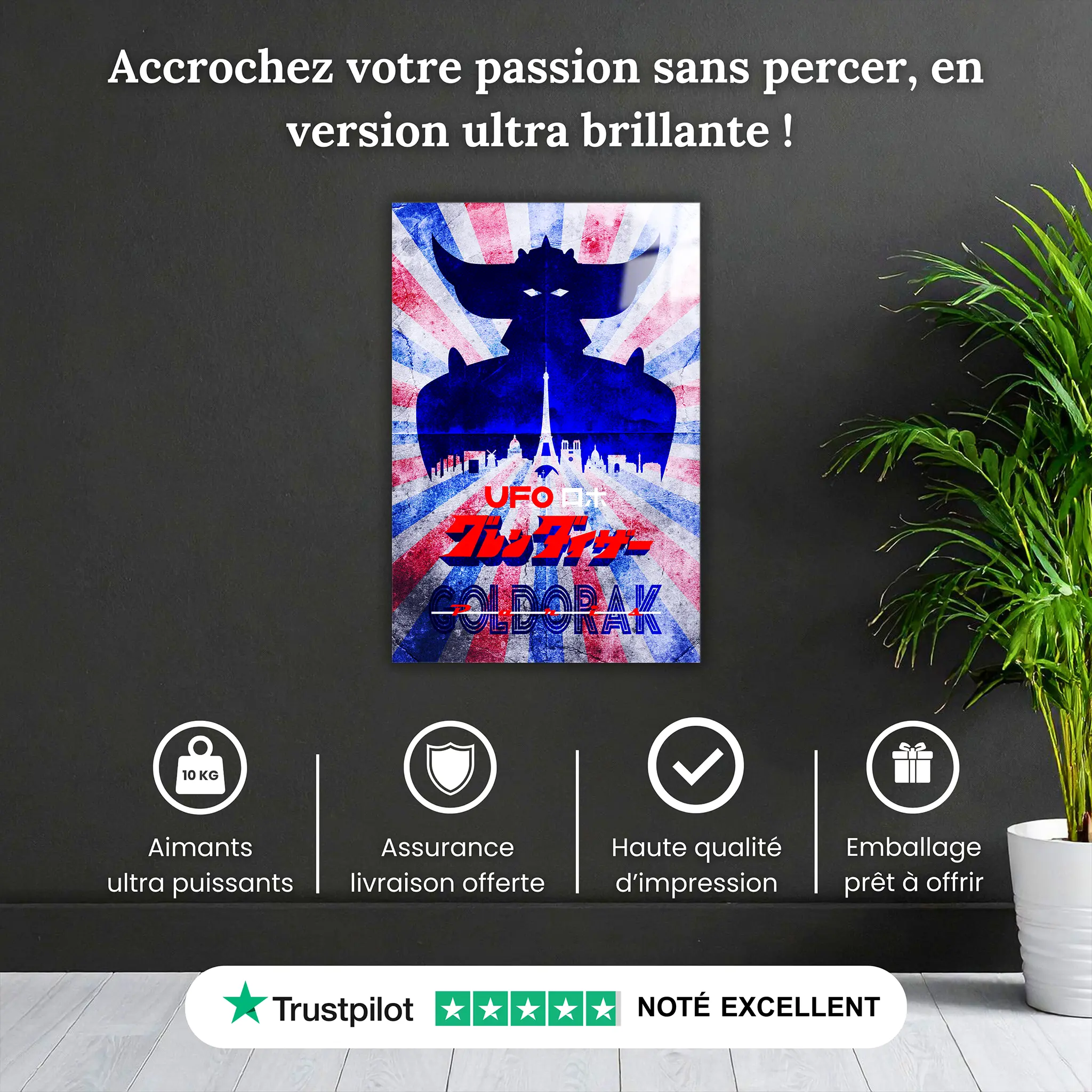 tableau-goldorak-tricolore-pourquoi-acheter | DreamWay