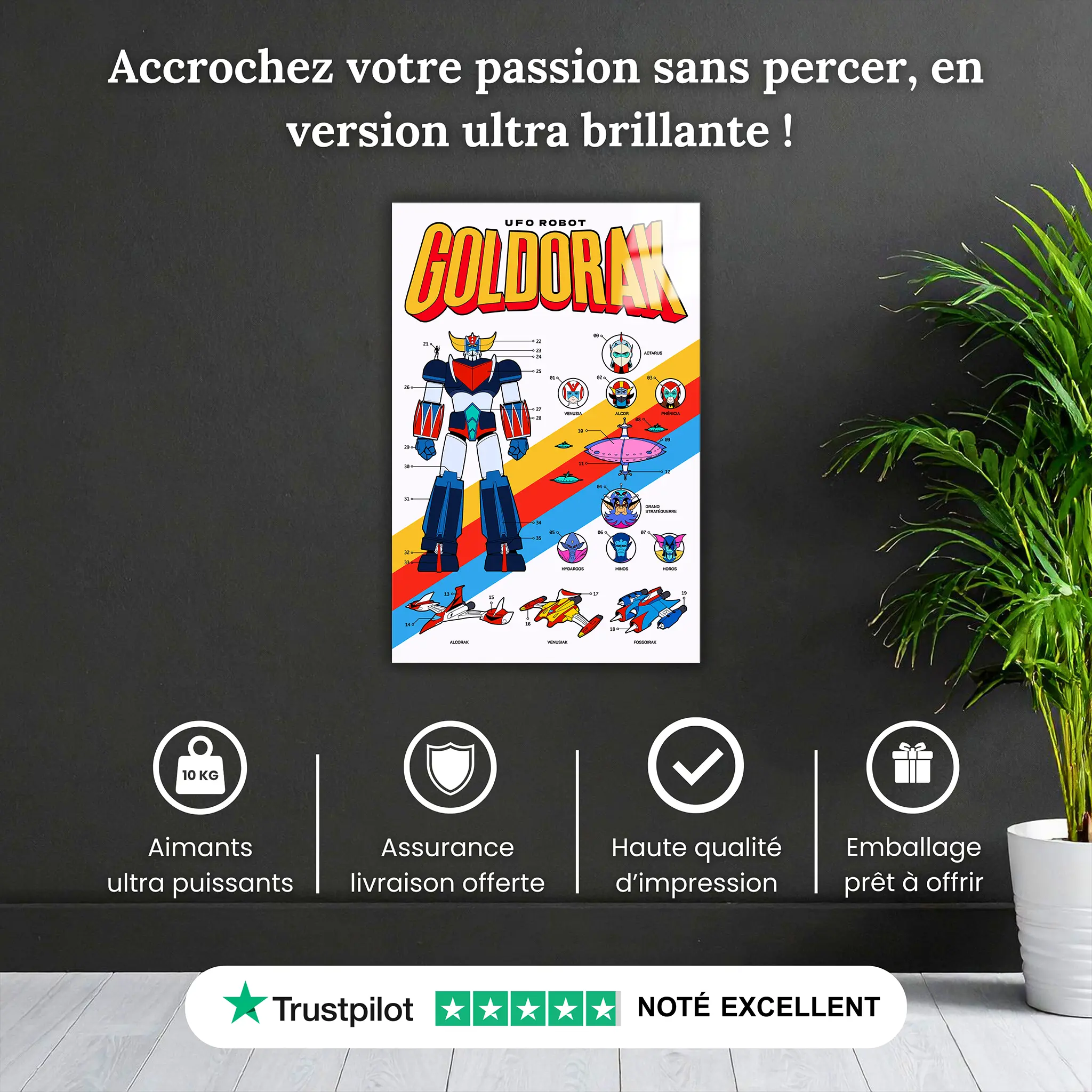 Tableau Goldorak UFO Robot Affiche