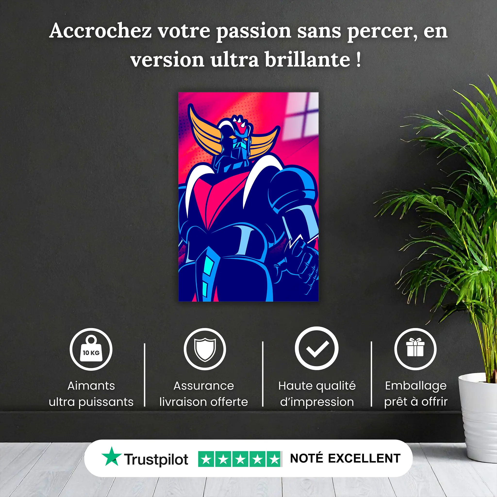 tableau-goldorak-vintage-pourquoi-acheter | DreamWay