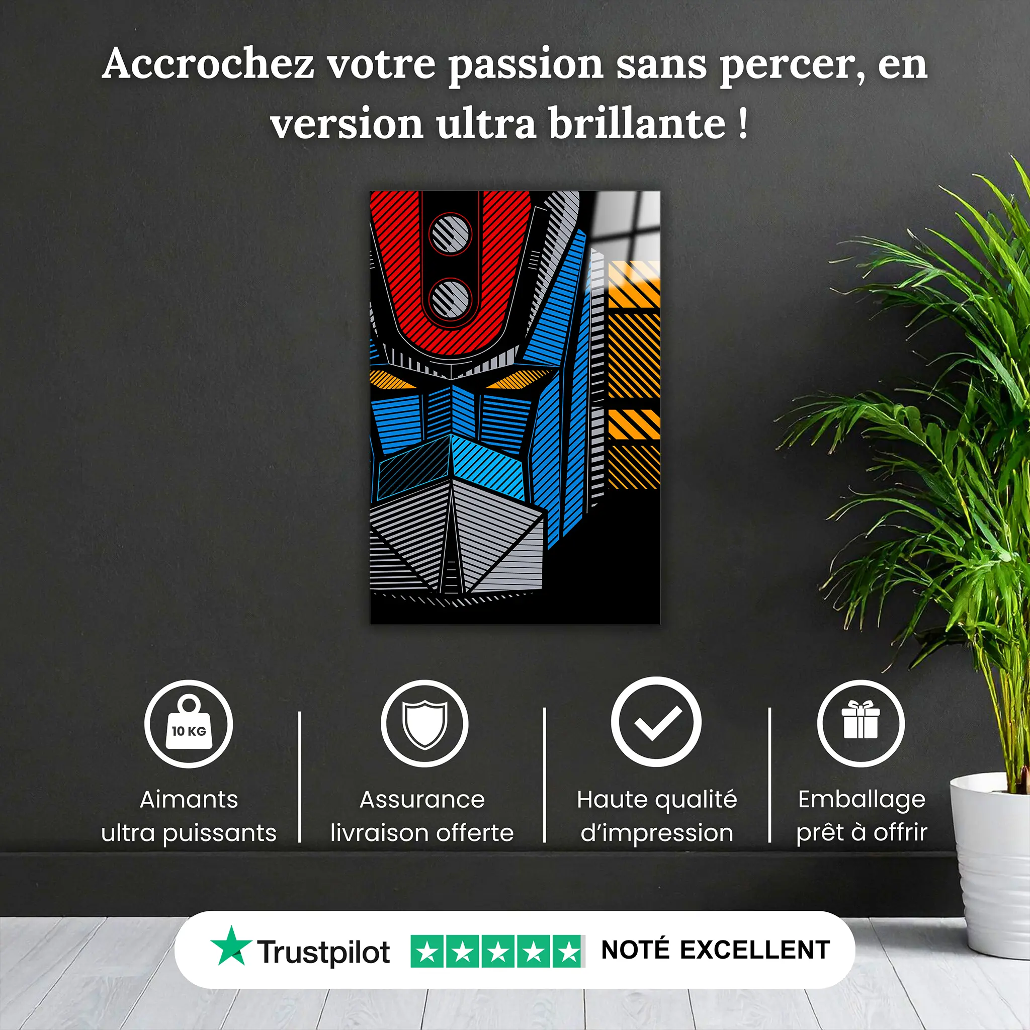 tableau-goldorak-visage-pourquoi-acheter | DreamWay