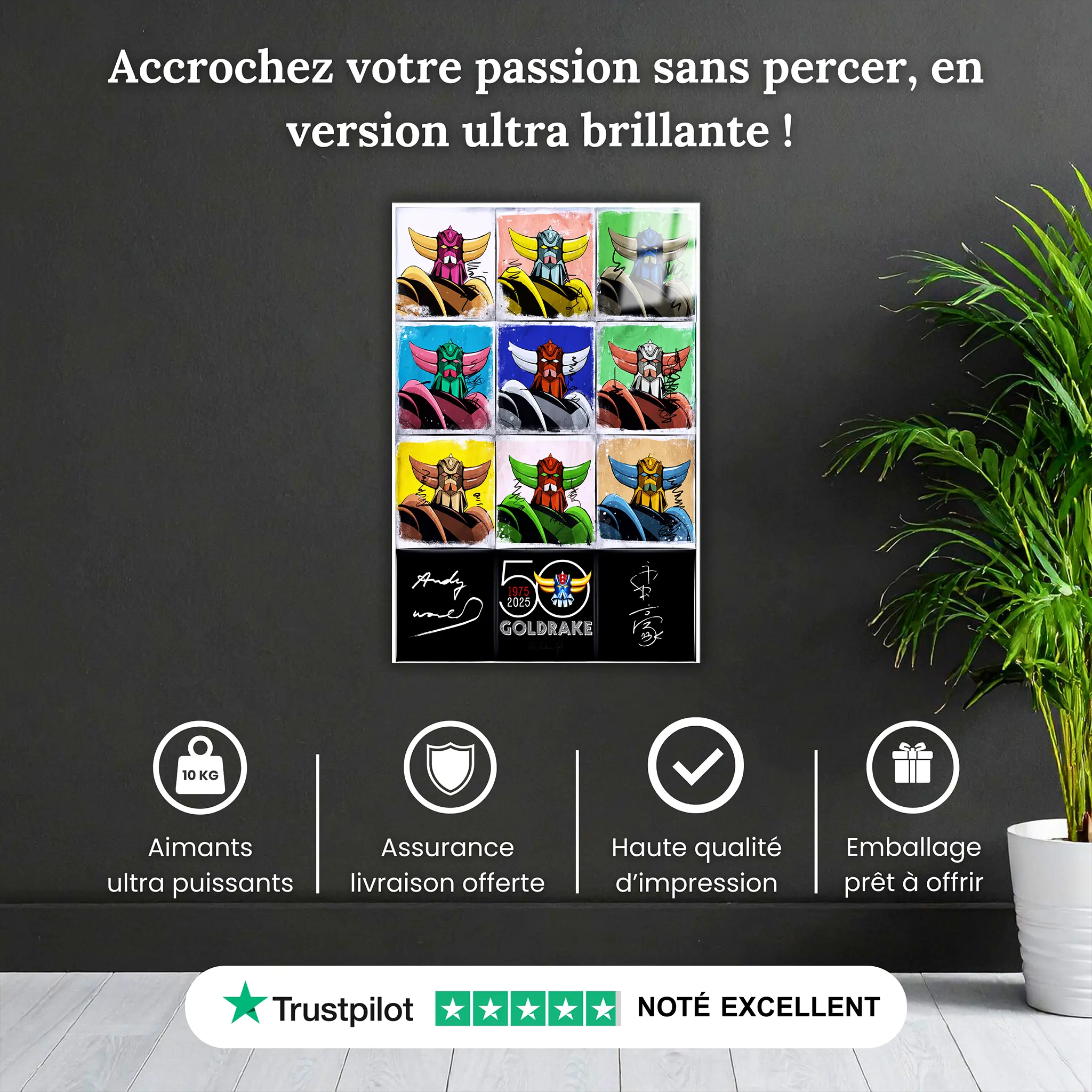 tableau-goldorak-warhol-pourquoi-acheter | DreamWay