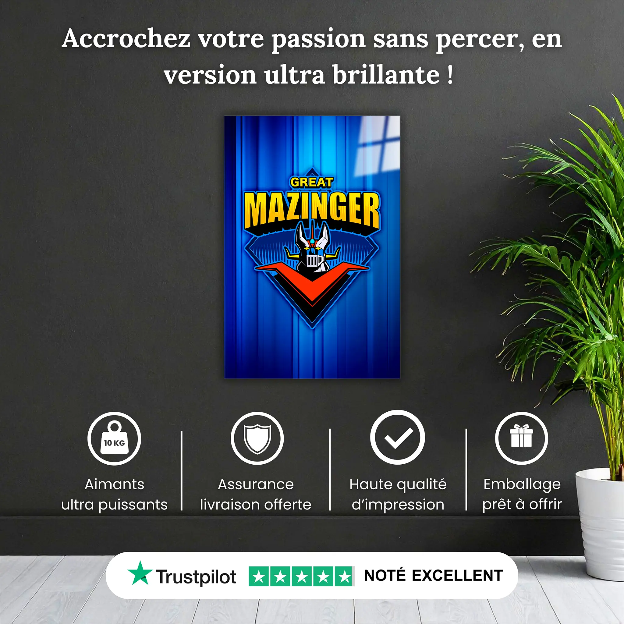 tableau-great-mazinger-z-pourquoi-acheter | DreamWay