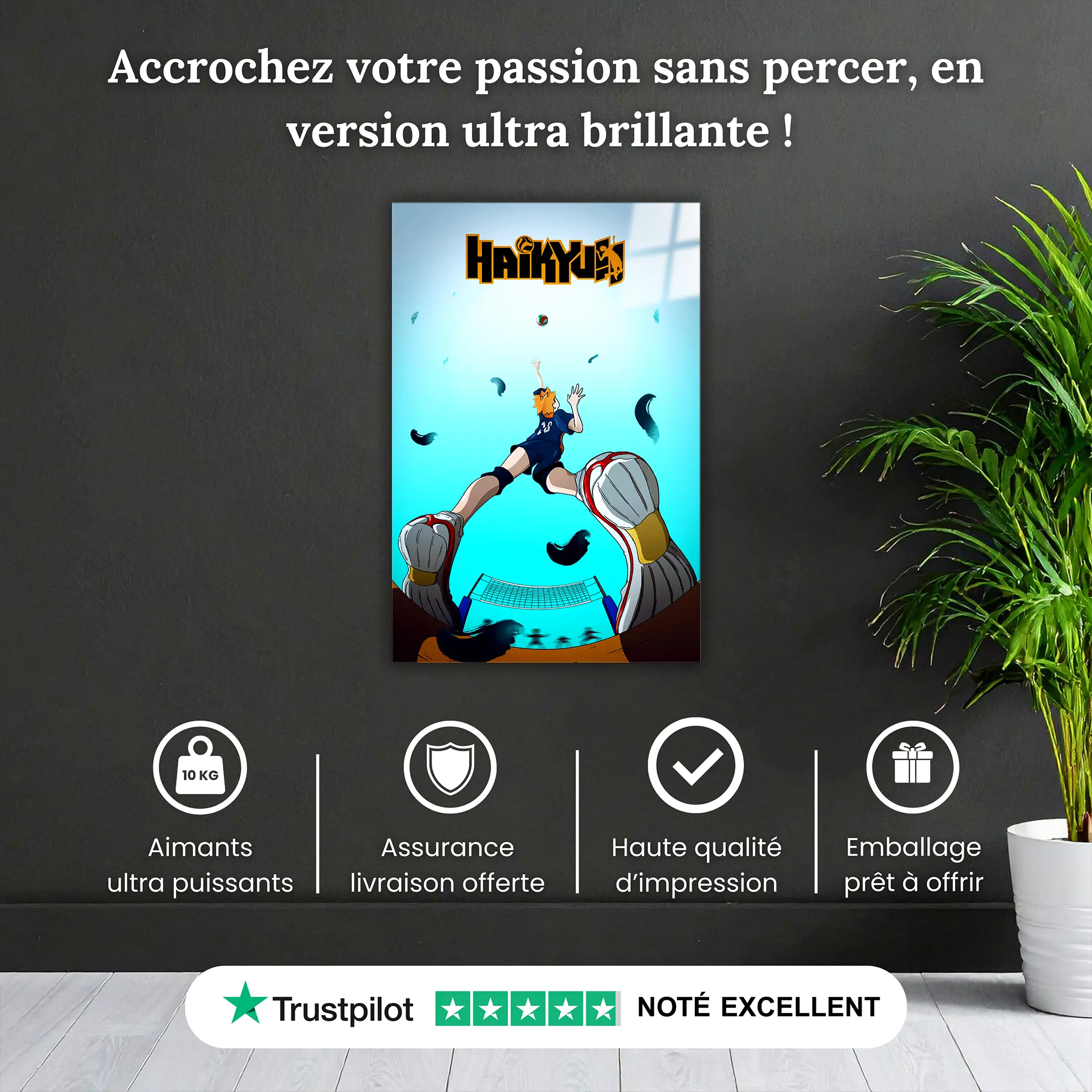 tableau-haikyuu-pourquoi-acheter | DreamWay