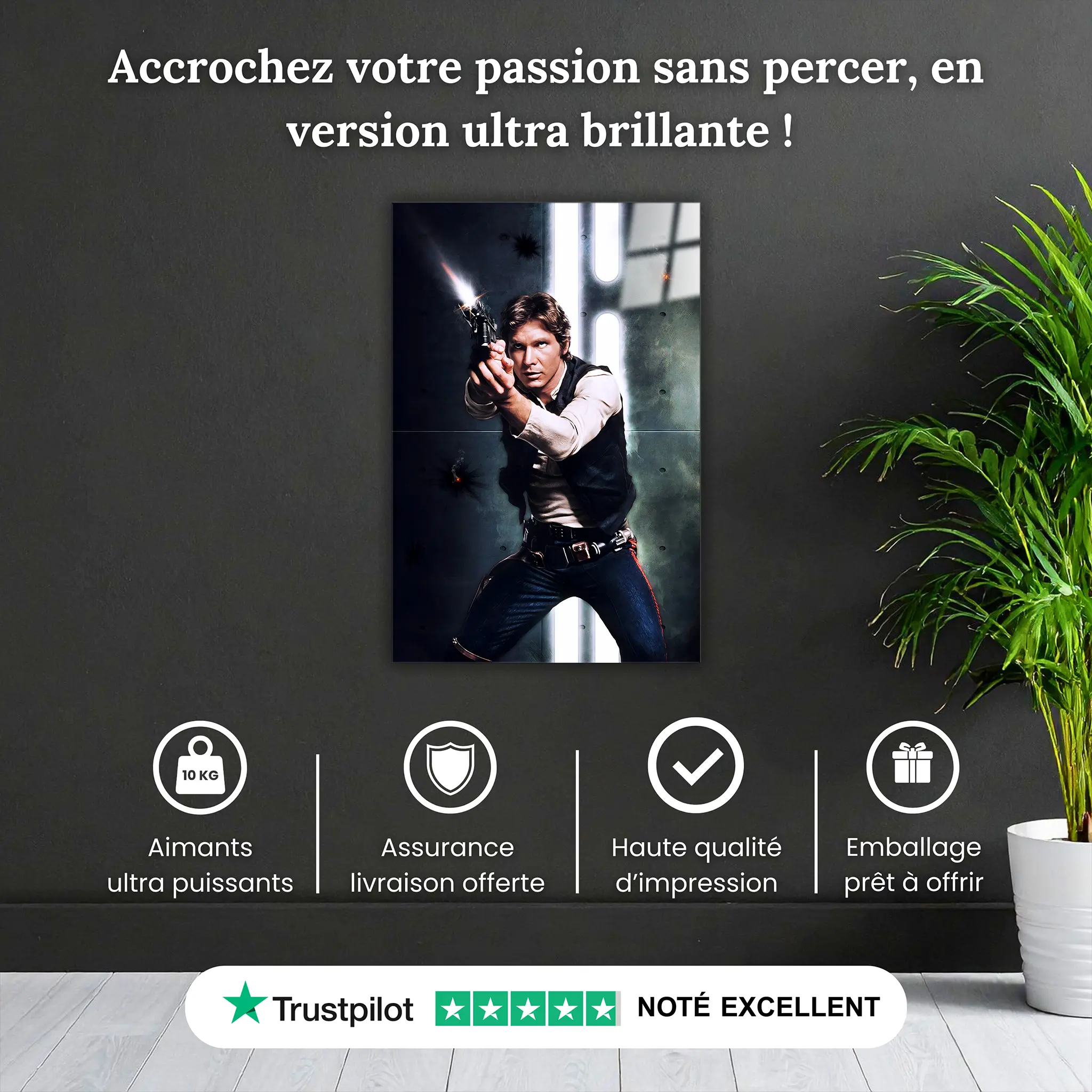 tableau-han-solo-pourquoi-acheter | DreamWay