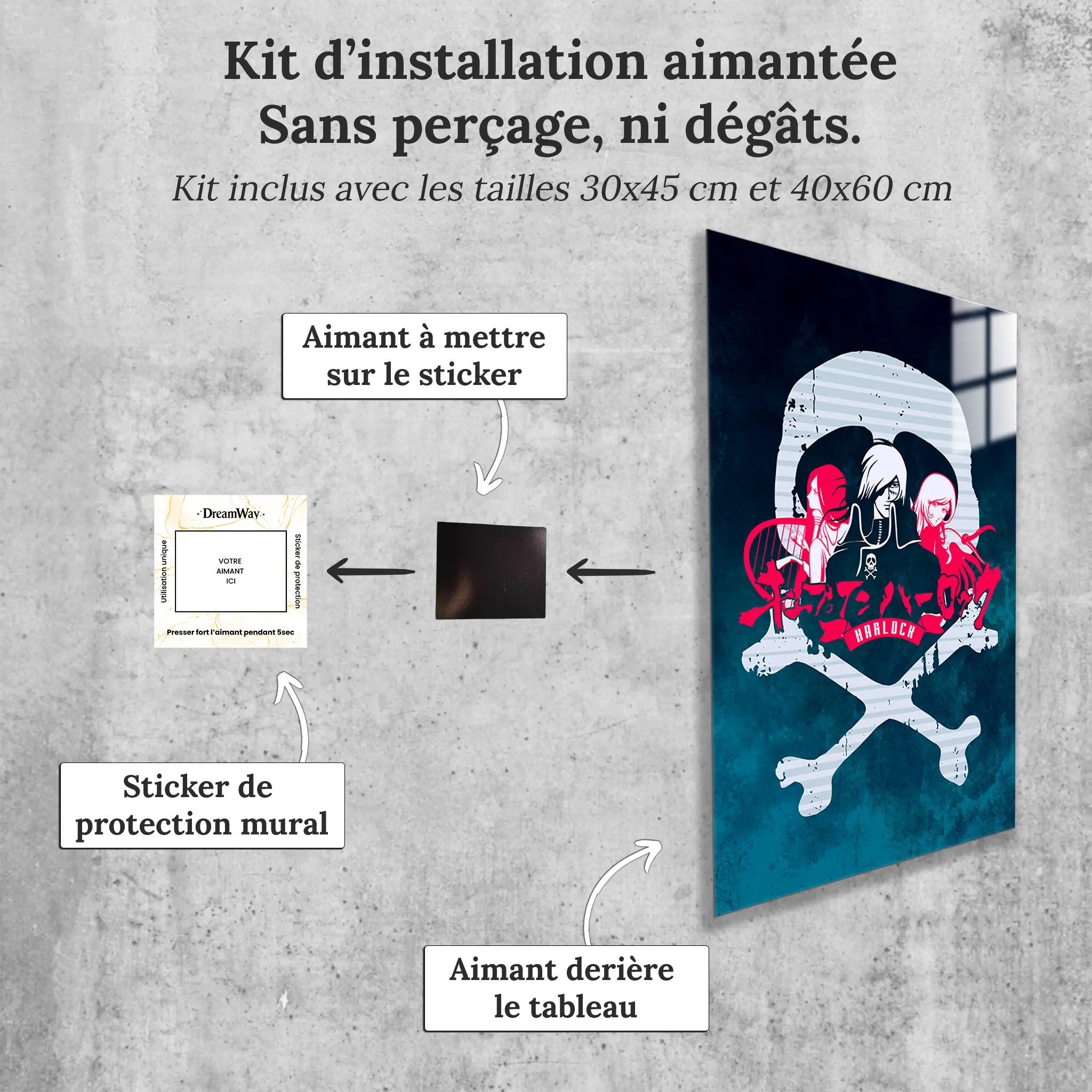 tableau-harlock-avec-installation-aimantee | DreamWay