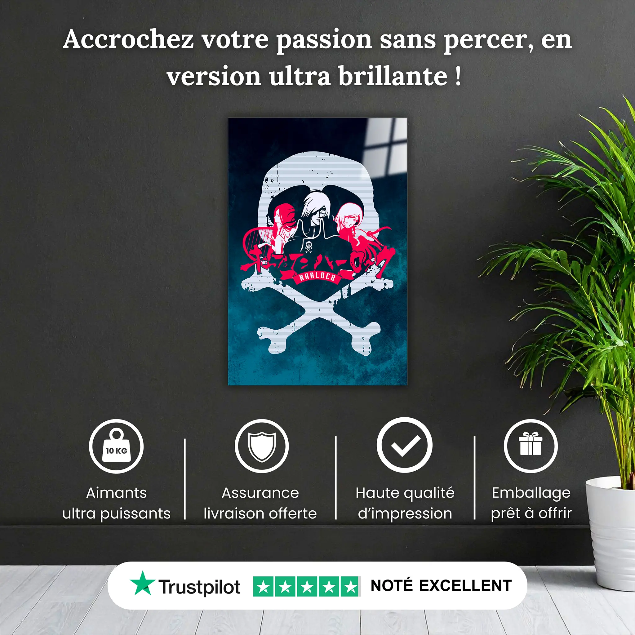 tableau-harlock-pourquoi-acheter | DreamWay