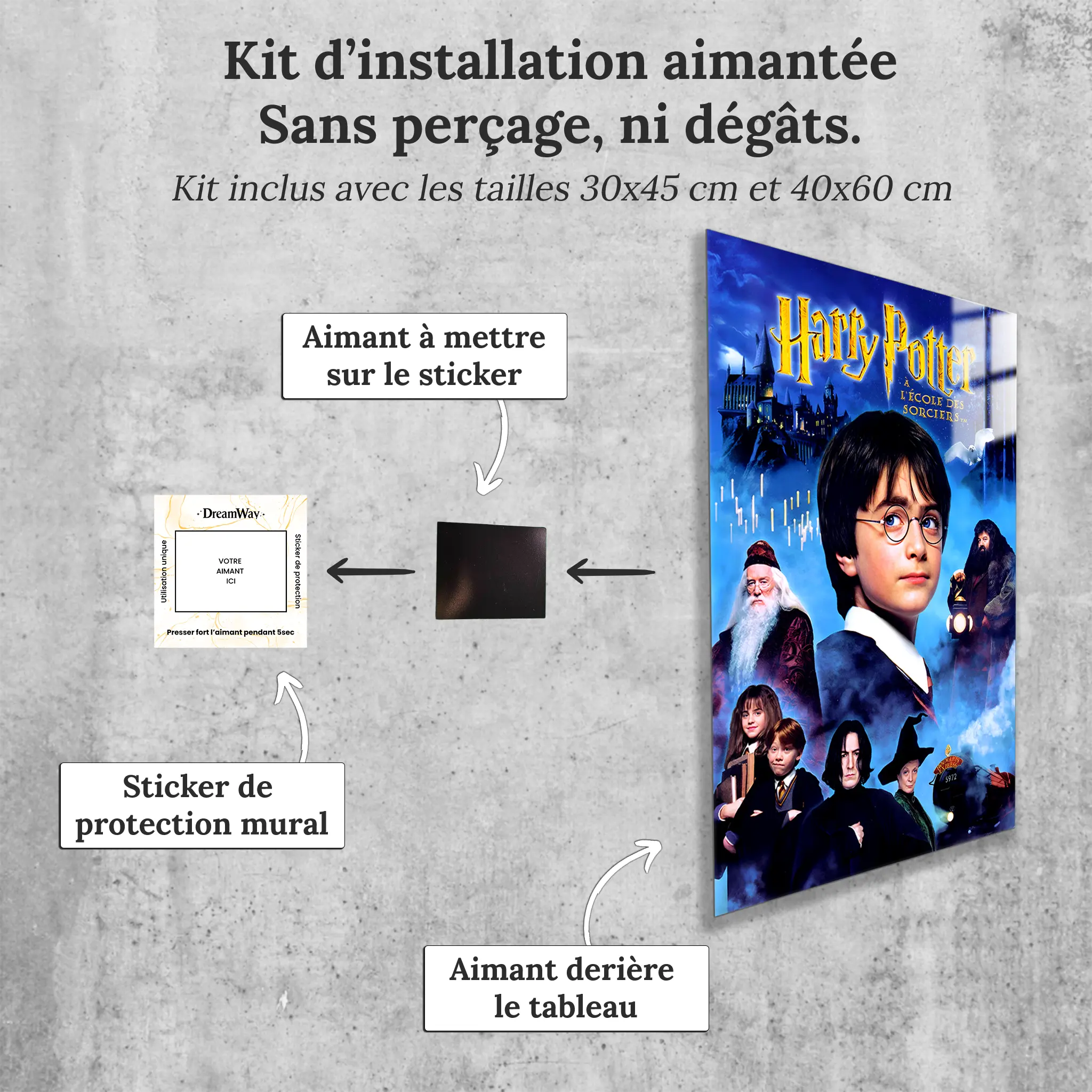 tableau-harry-potter-a-ecole-des-sorciers-avec-installation-aimantee | DreamWay